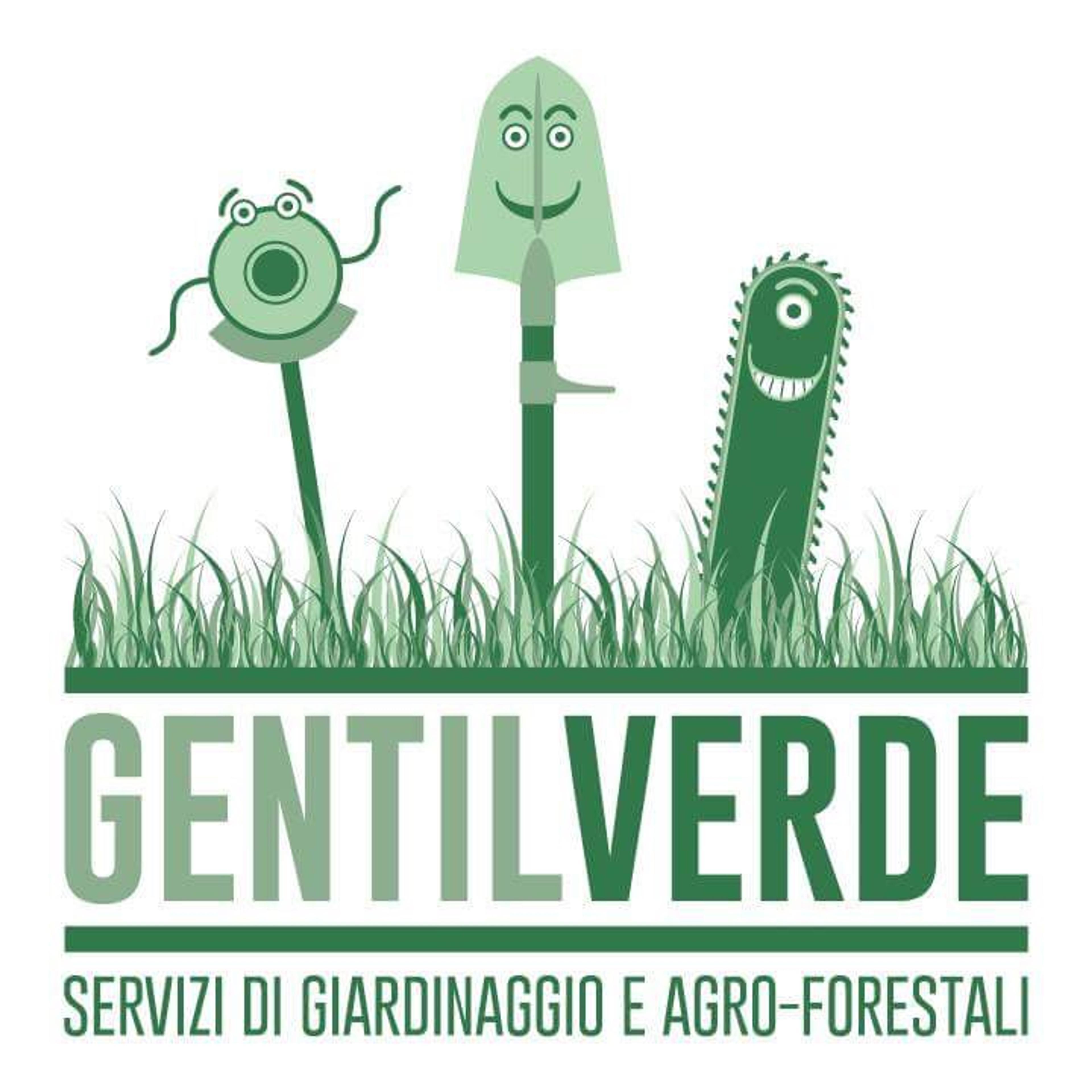 Pietro Gentili