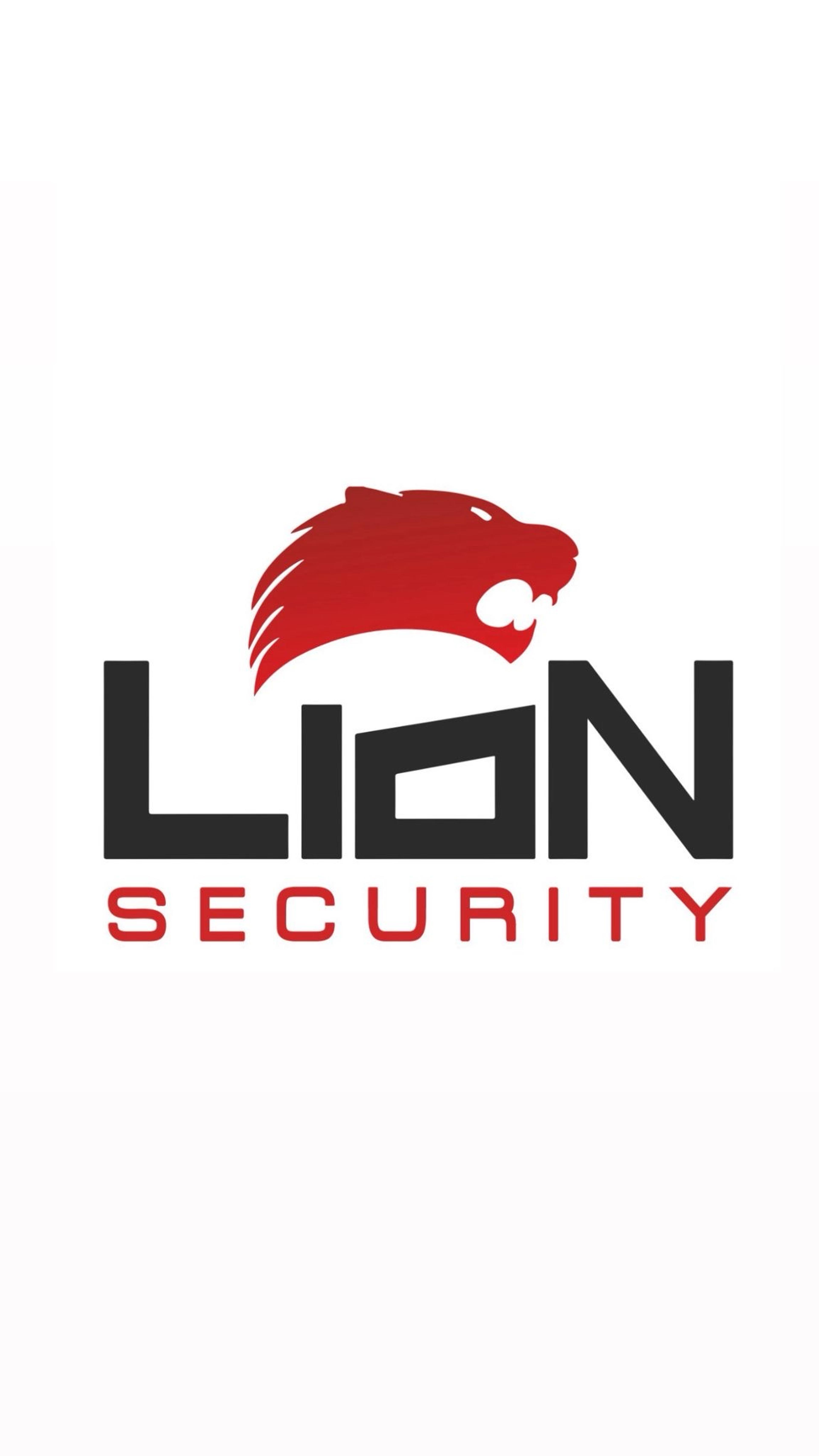 LION GROUP