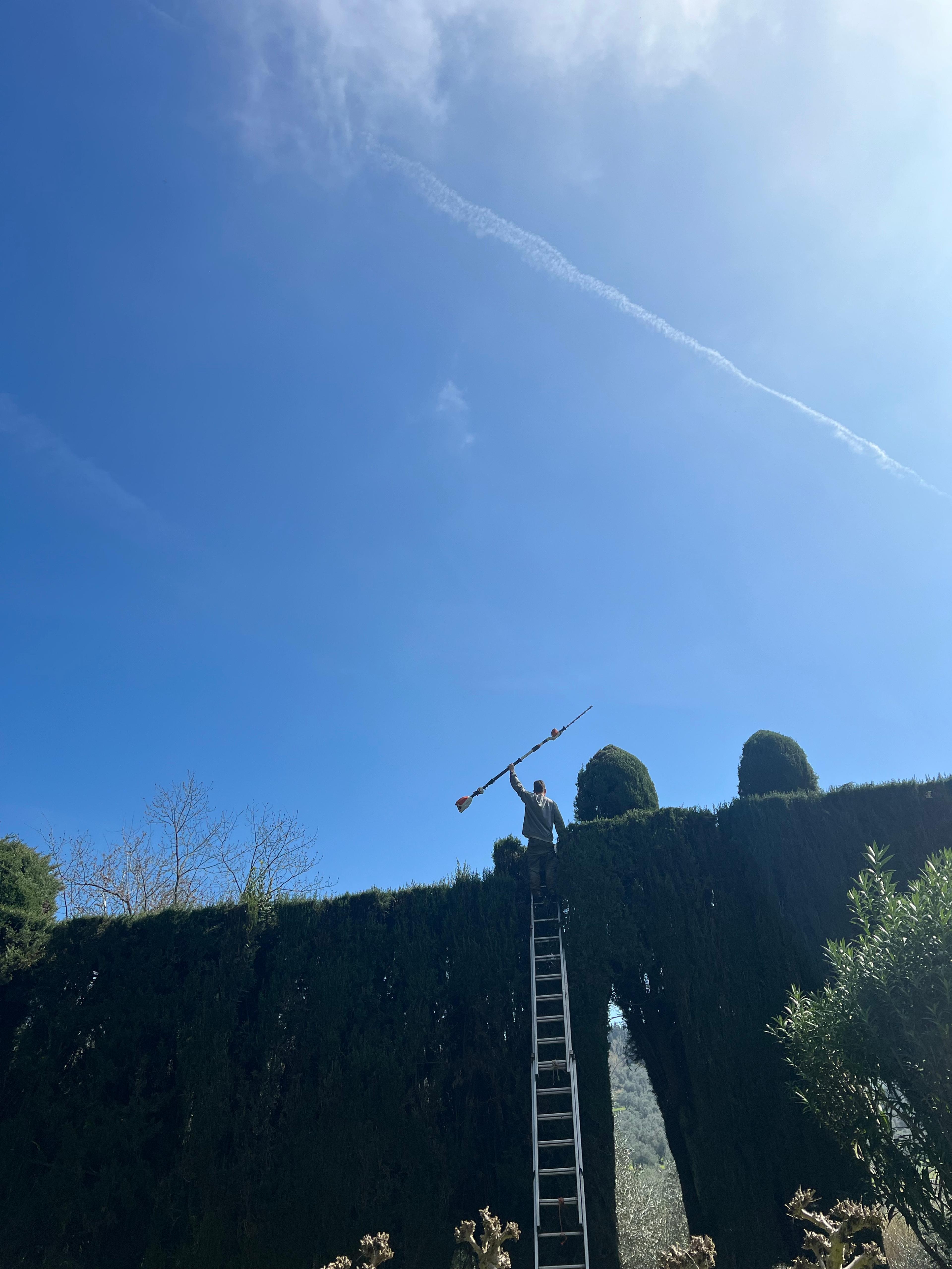 Florentia Garden