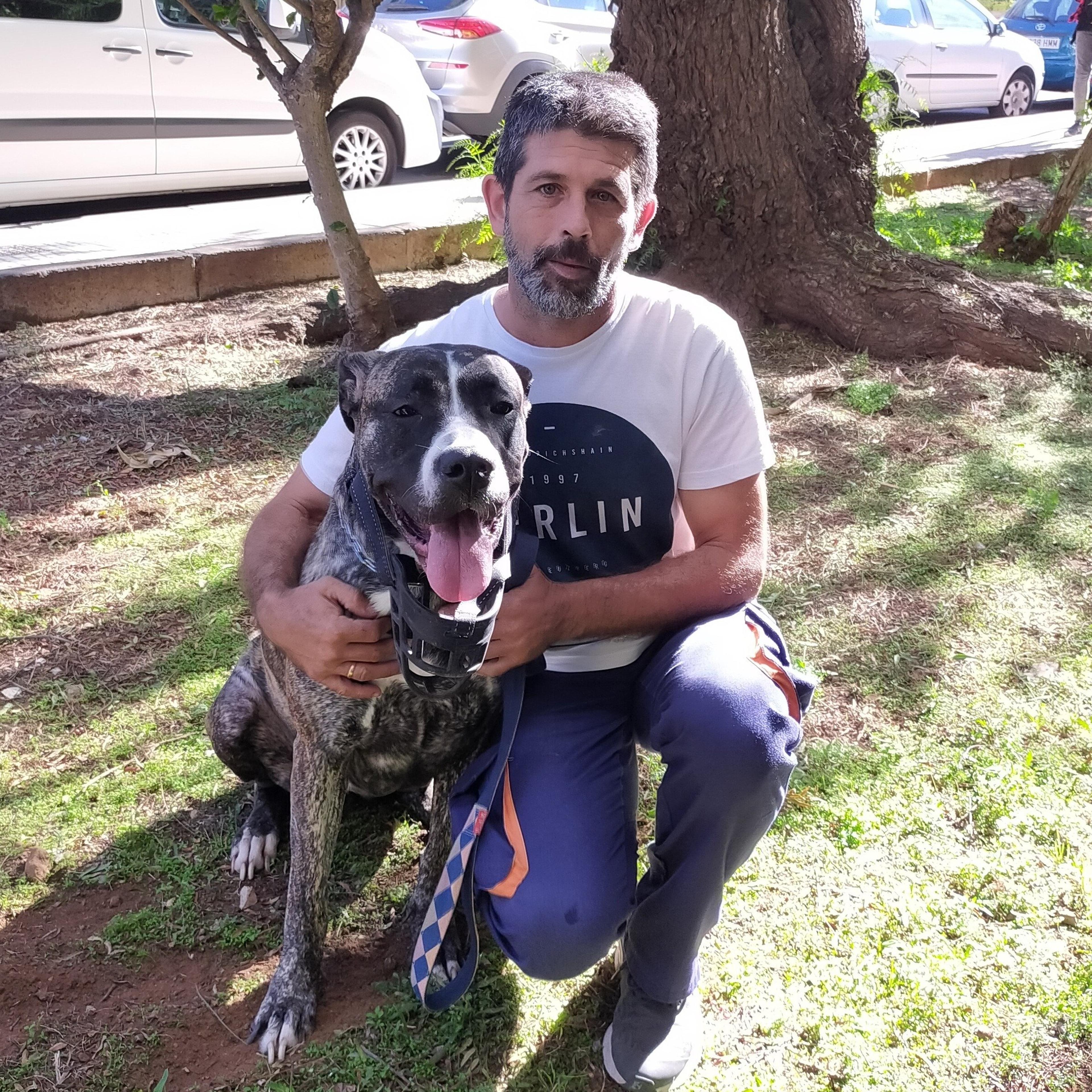 Adiestrador canino angel