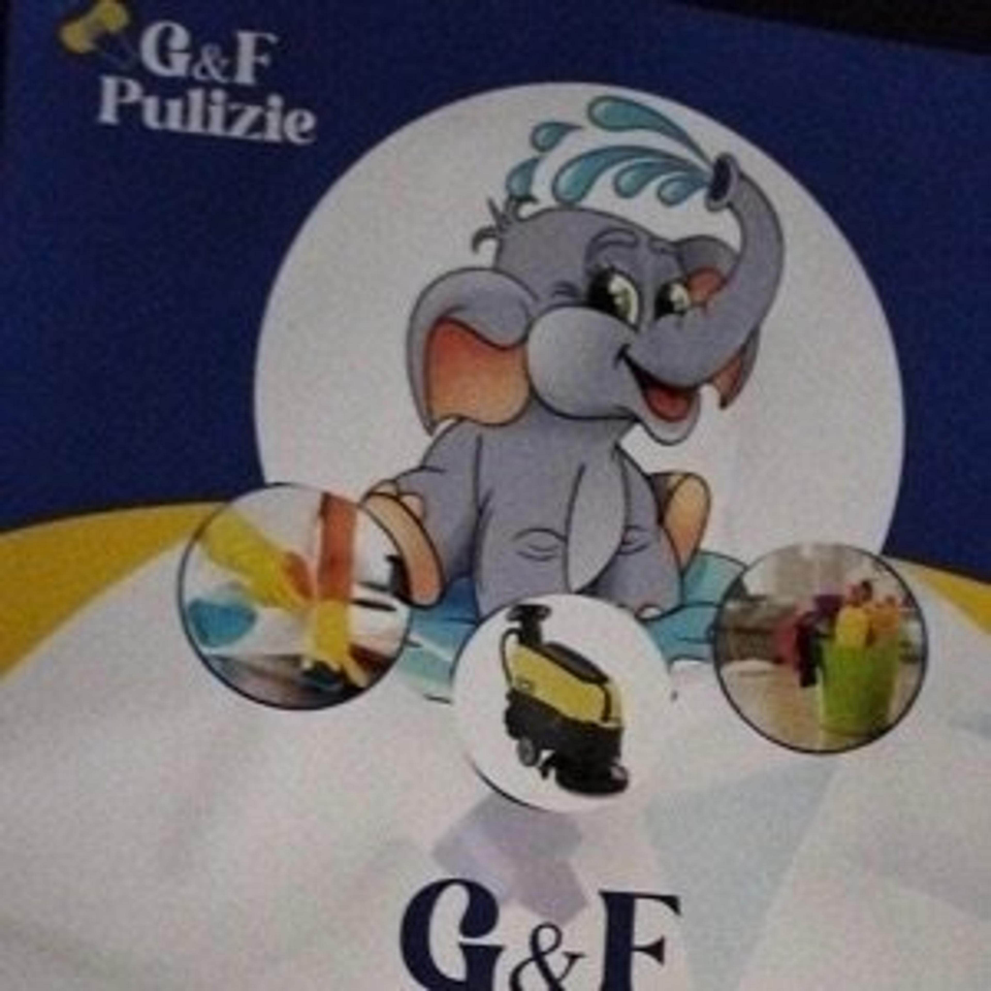 G&fpuliziesrlsemplificata