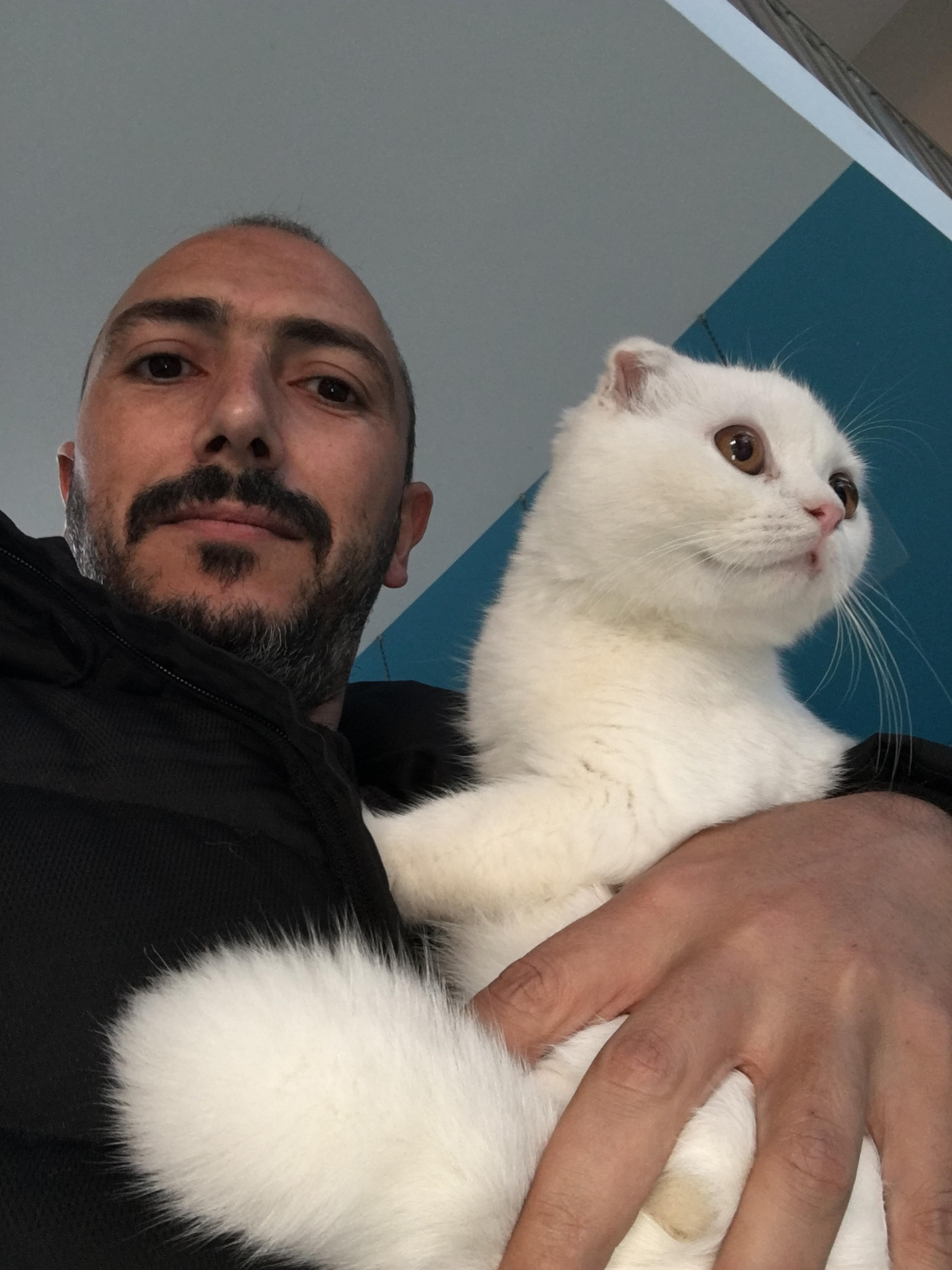 Selçuk Dişyapar