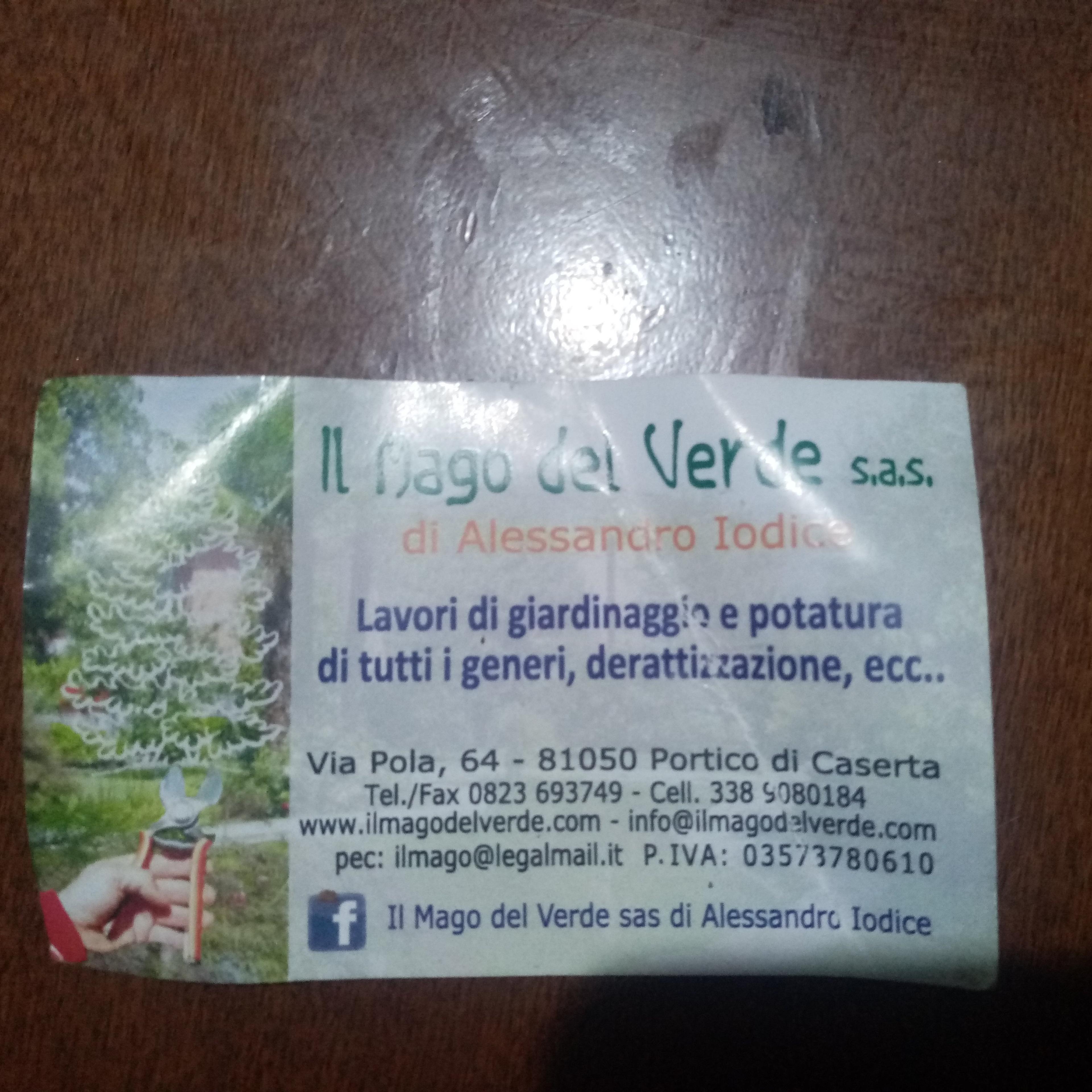 Giardiniere e trasloco,pulizie