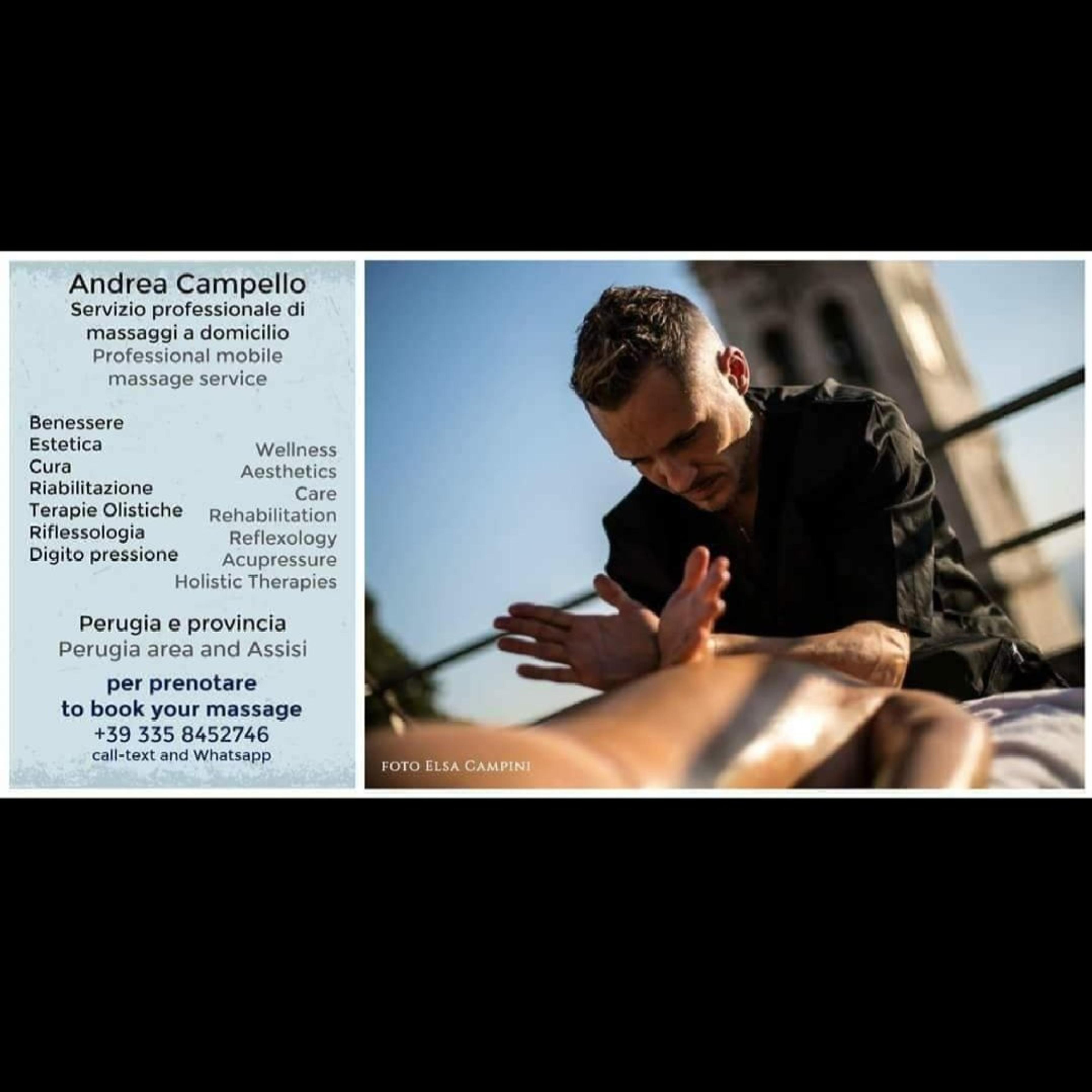 Andrea Campello