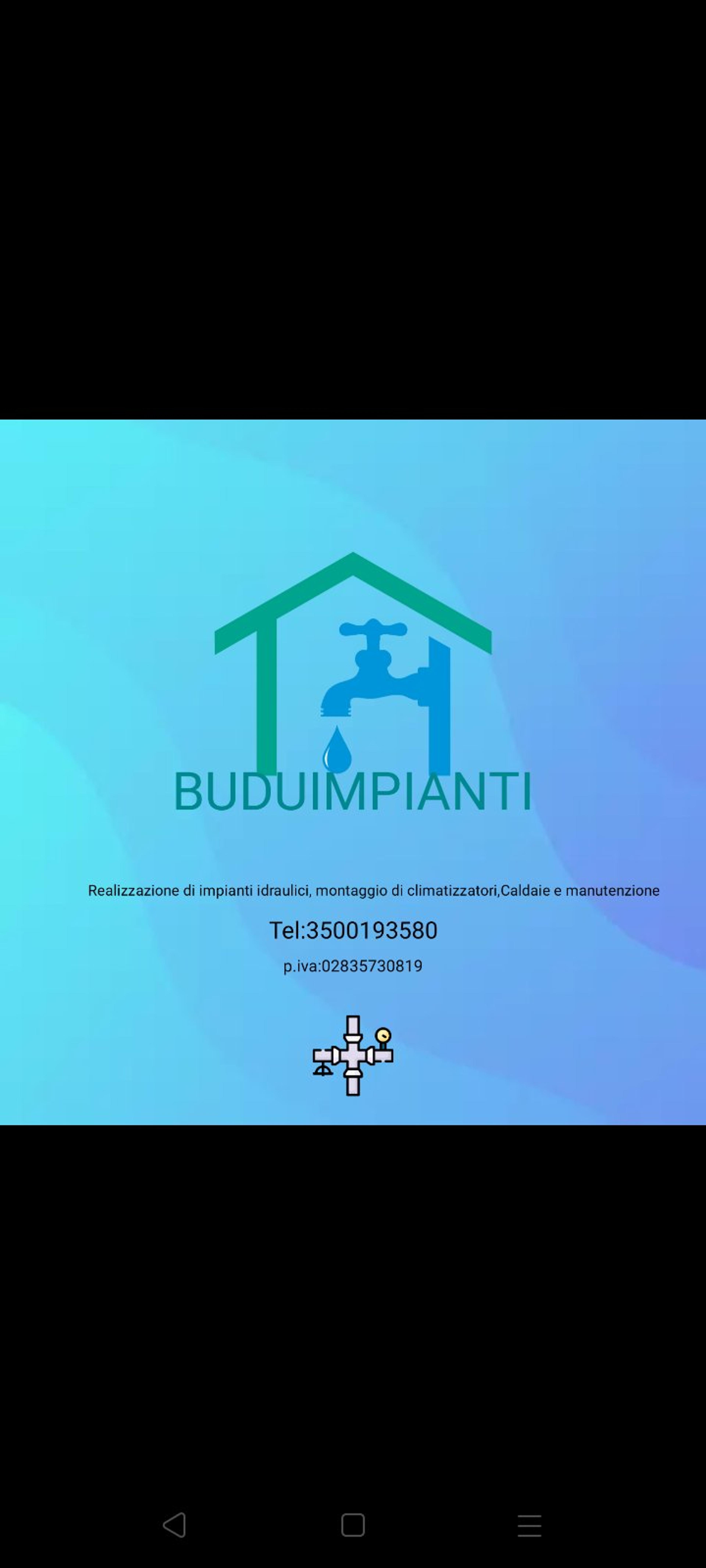 BUDUIMPIANTI