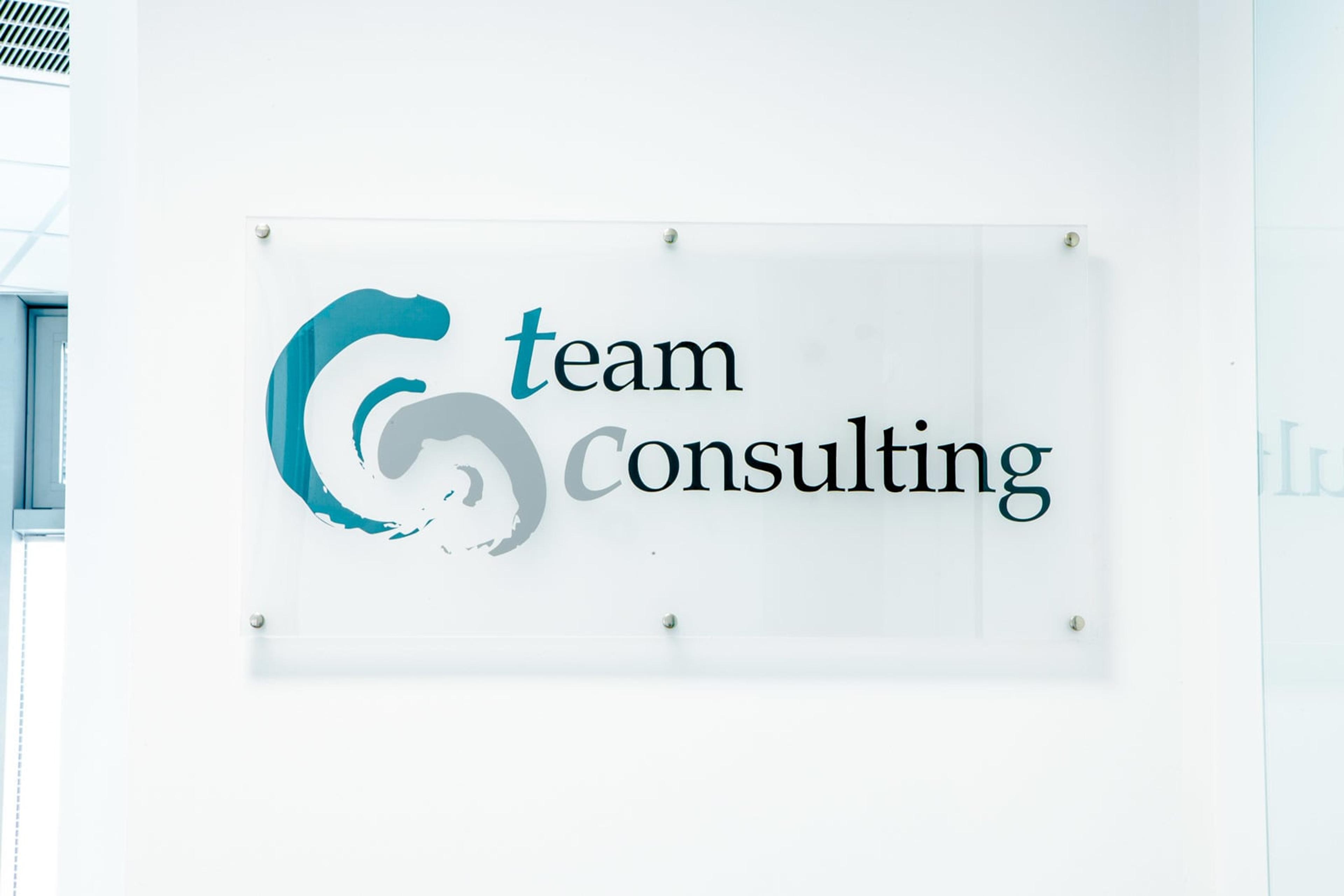 Team Consulting Srl STP