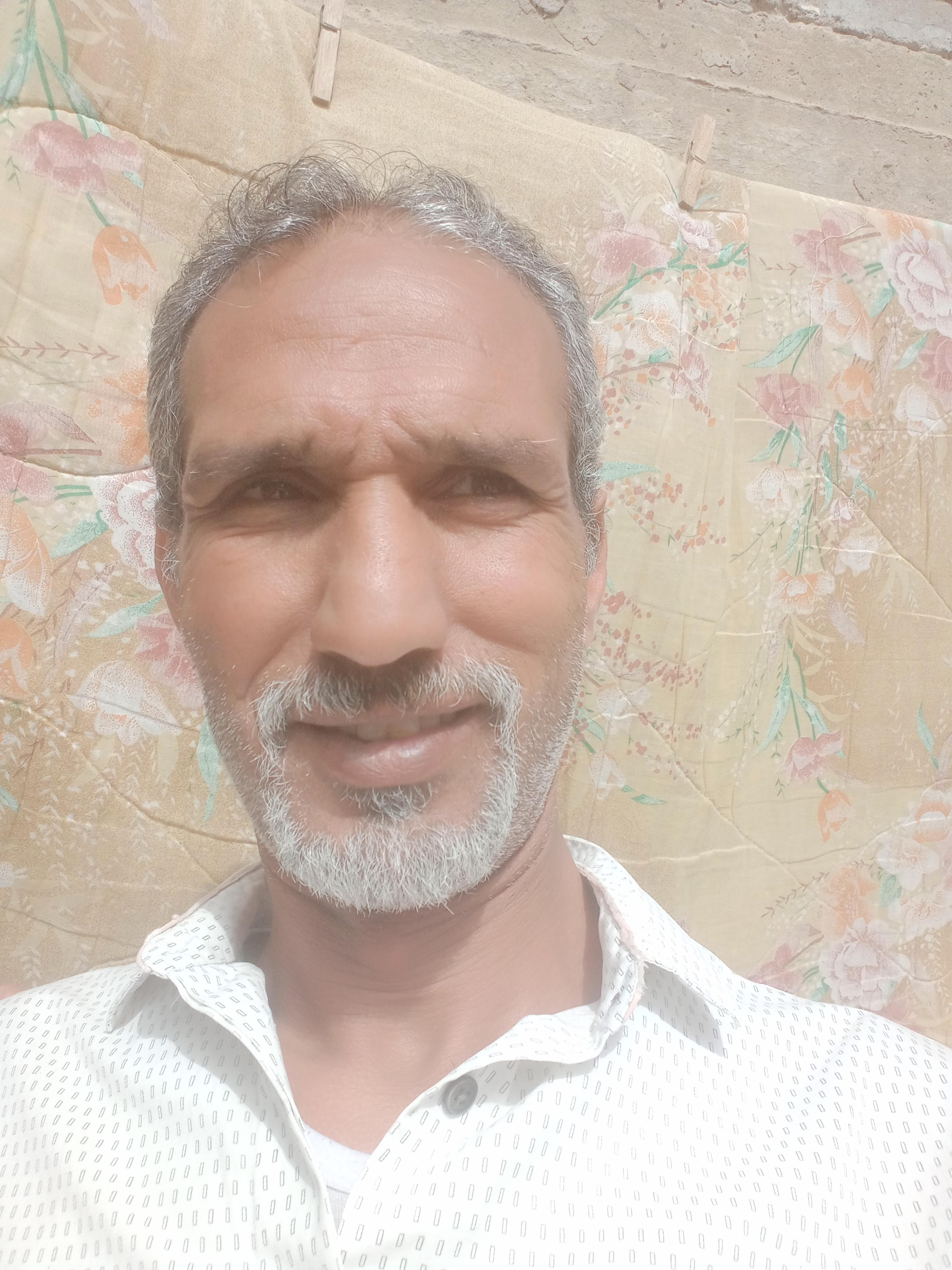 محمد محمود نصار