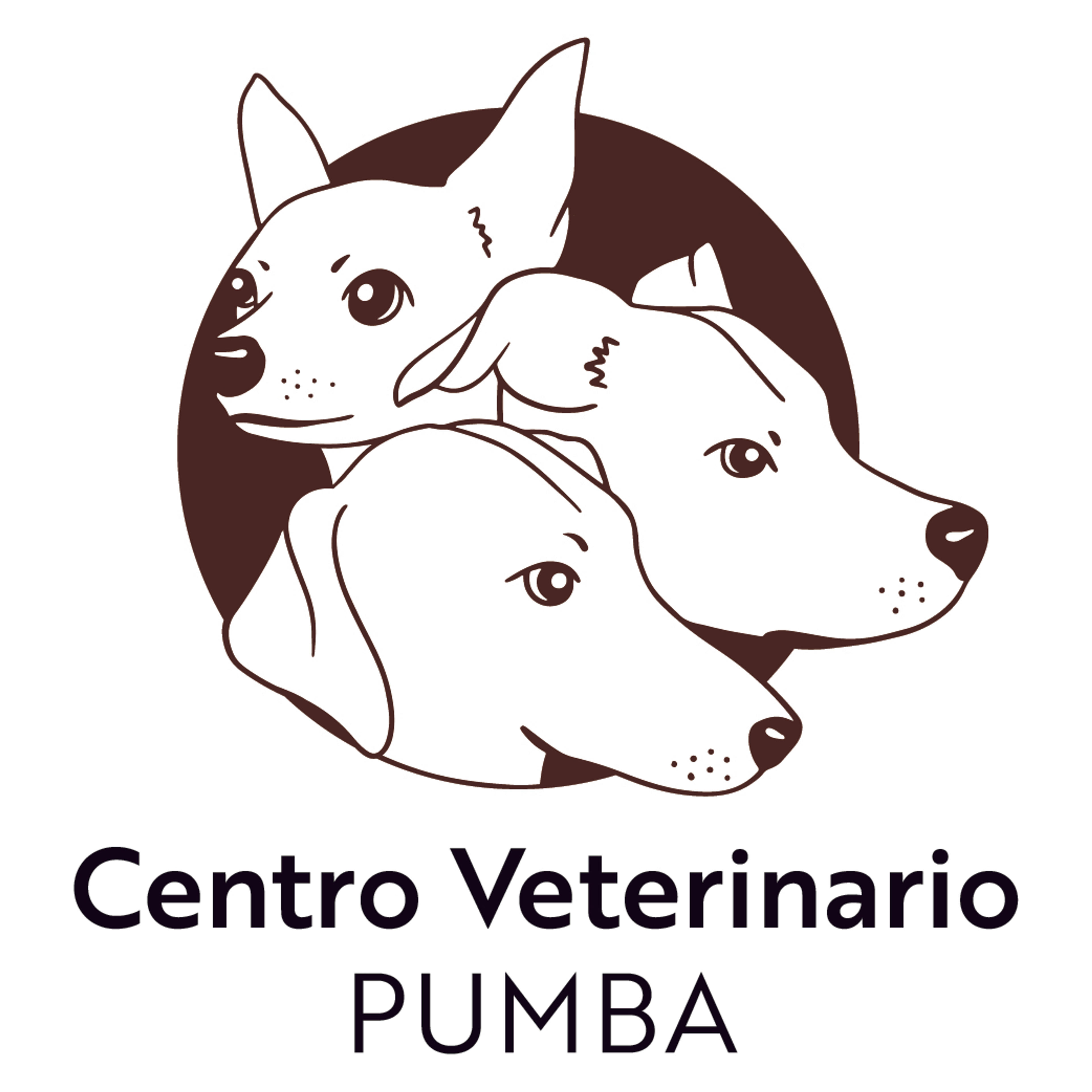 Clinica Veterinaria Pumba