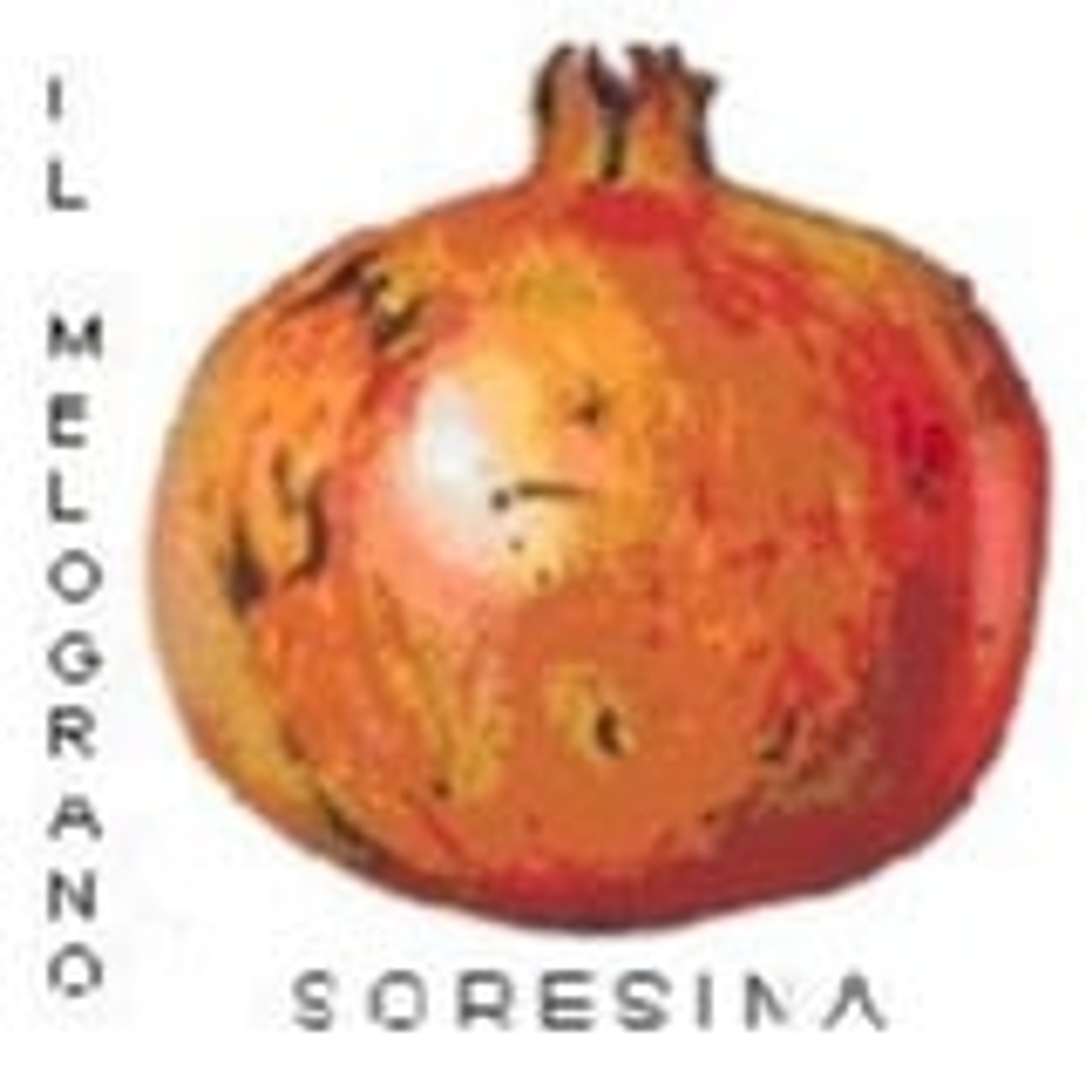 Coop.Soc. Il Melograno ONLUS