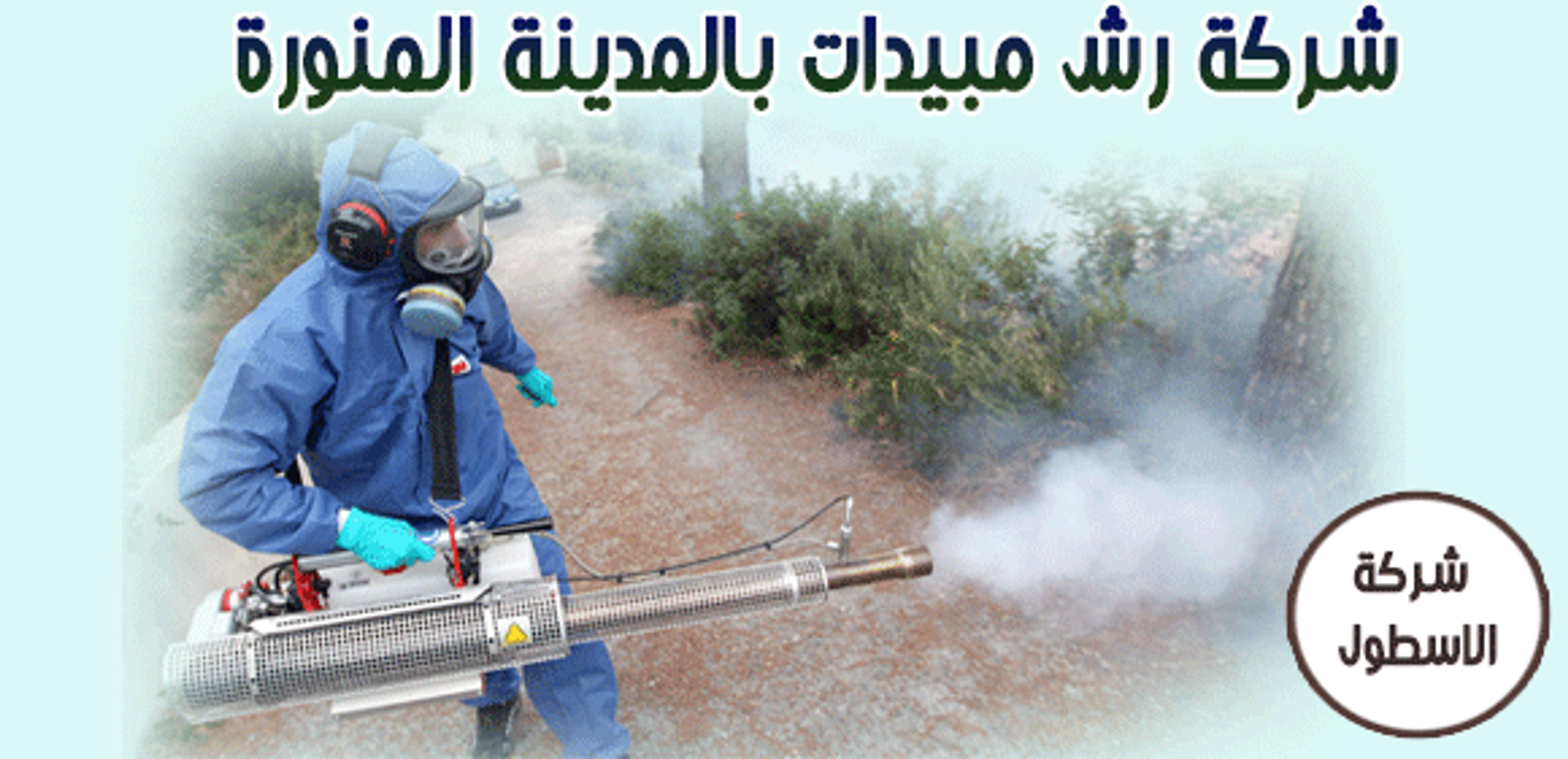 الاسطول