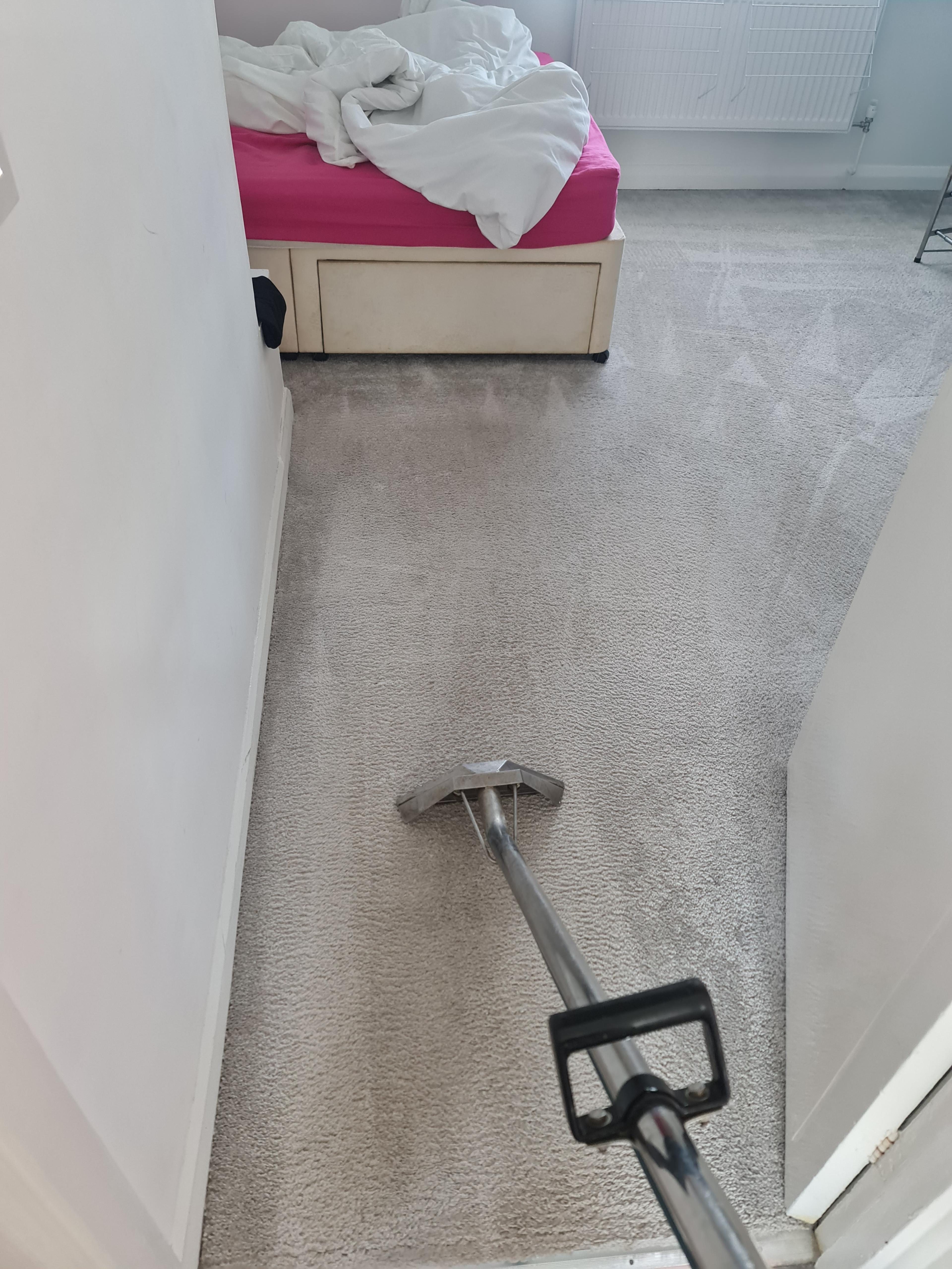 Gold Emily Cleaning Ltd