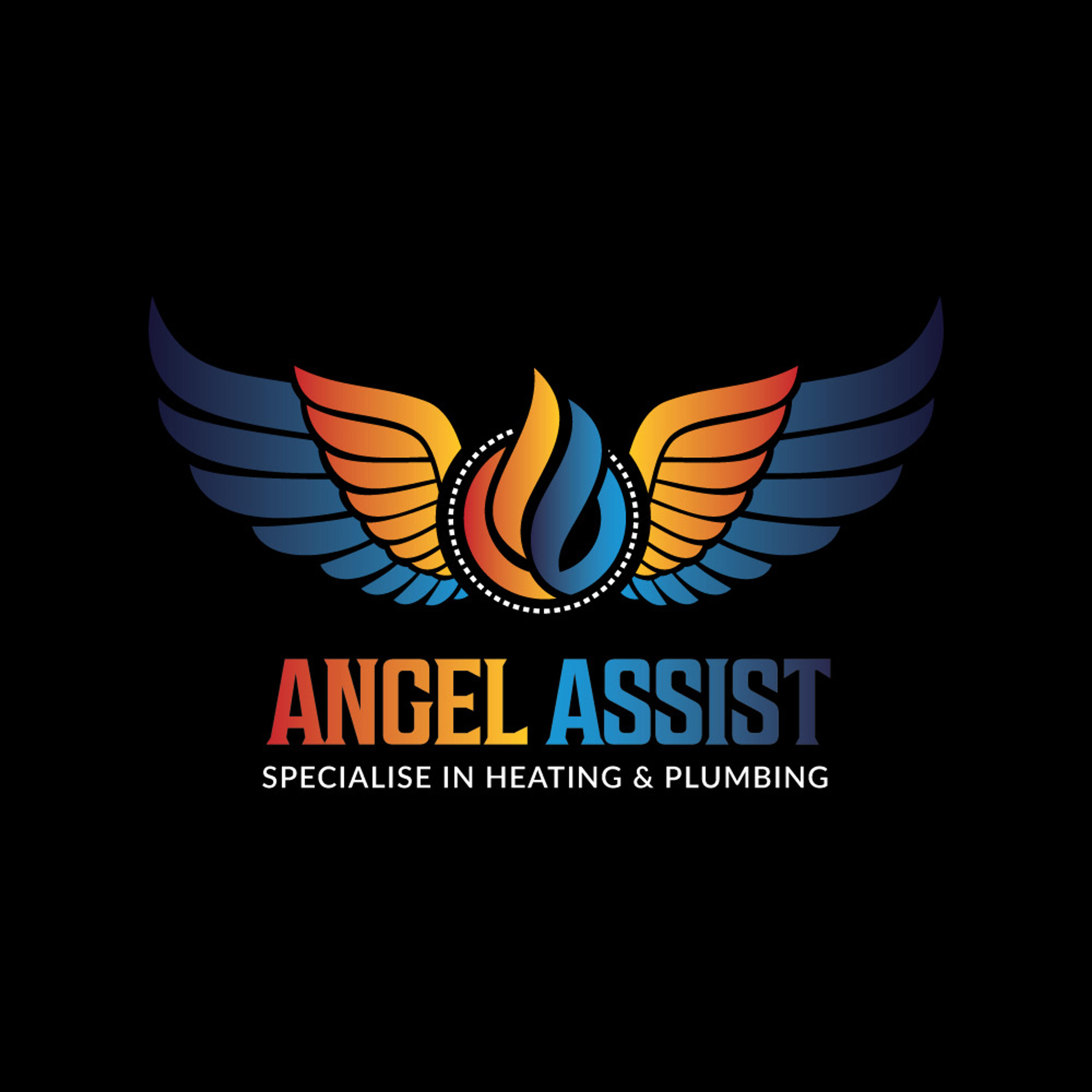 Angel Assist Ltd