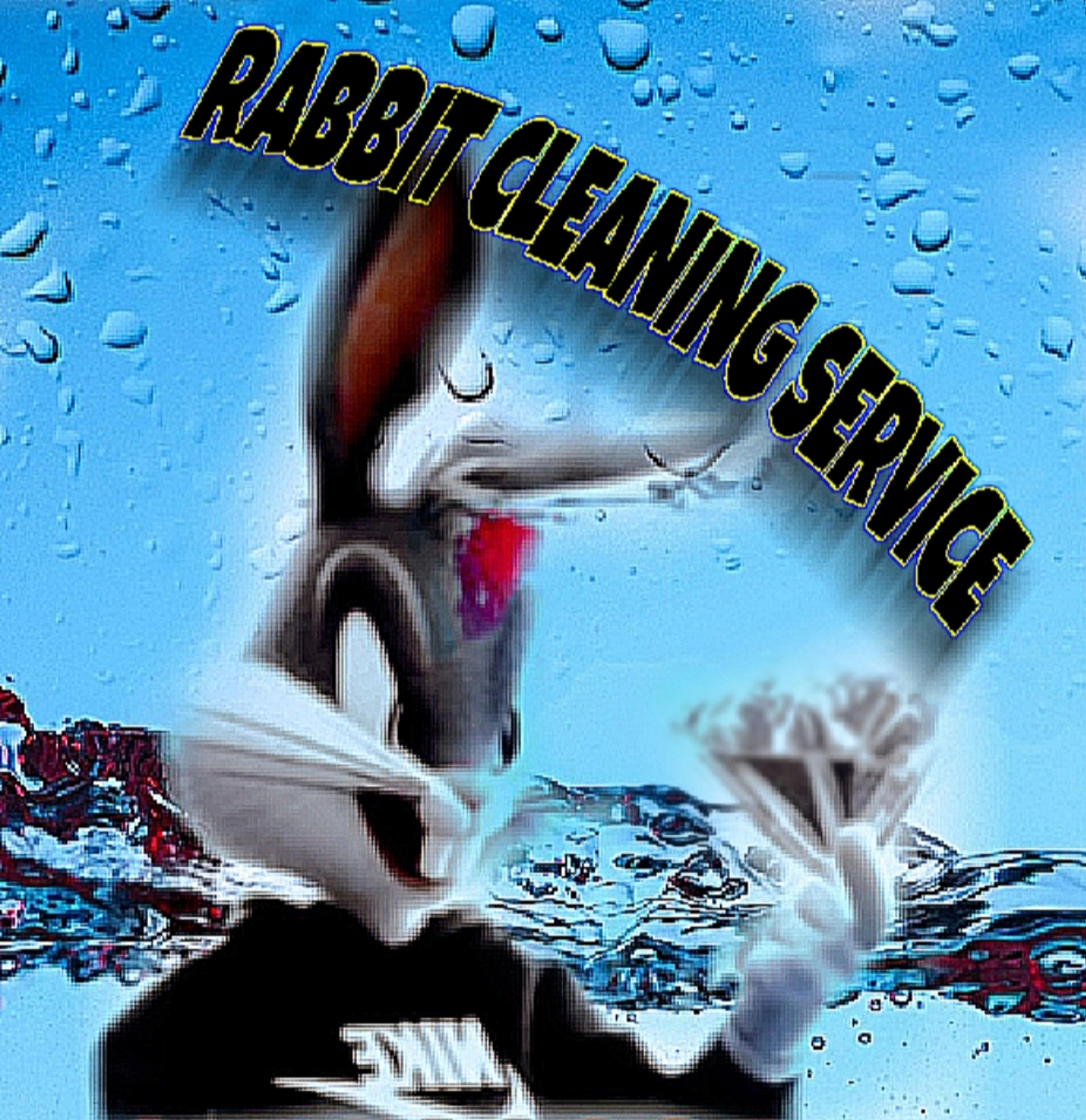 Rabbit Cleaning Services
