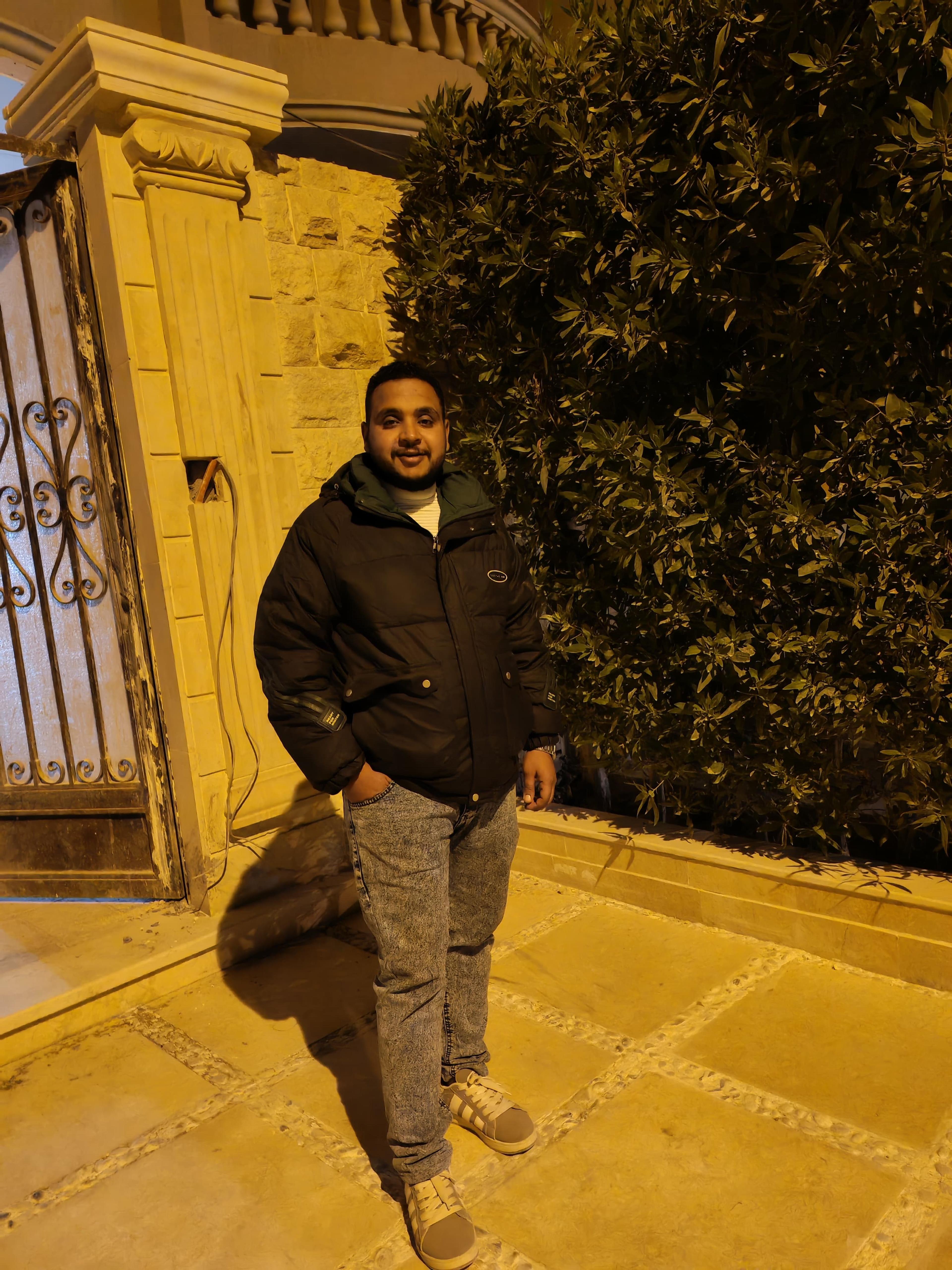 مارفست