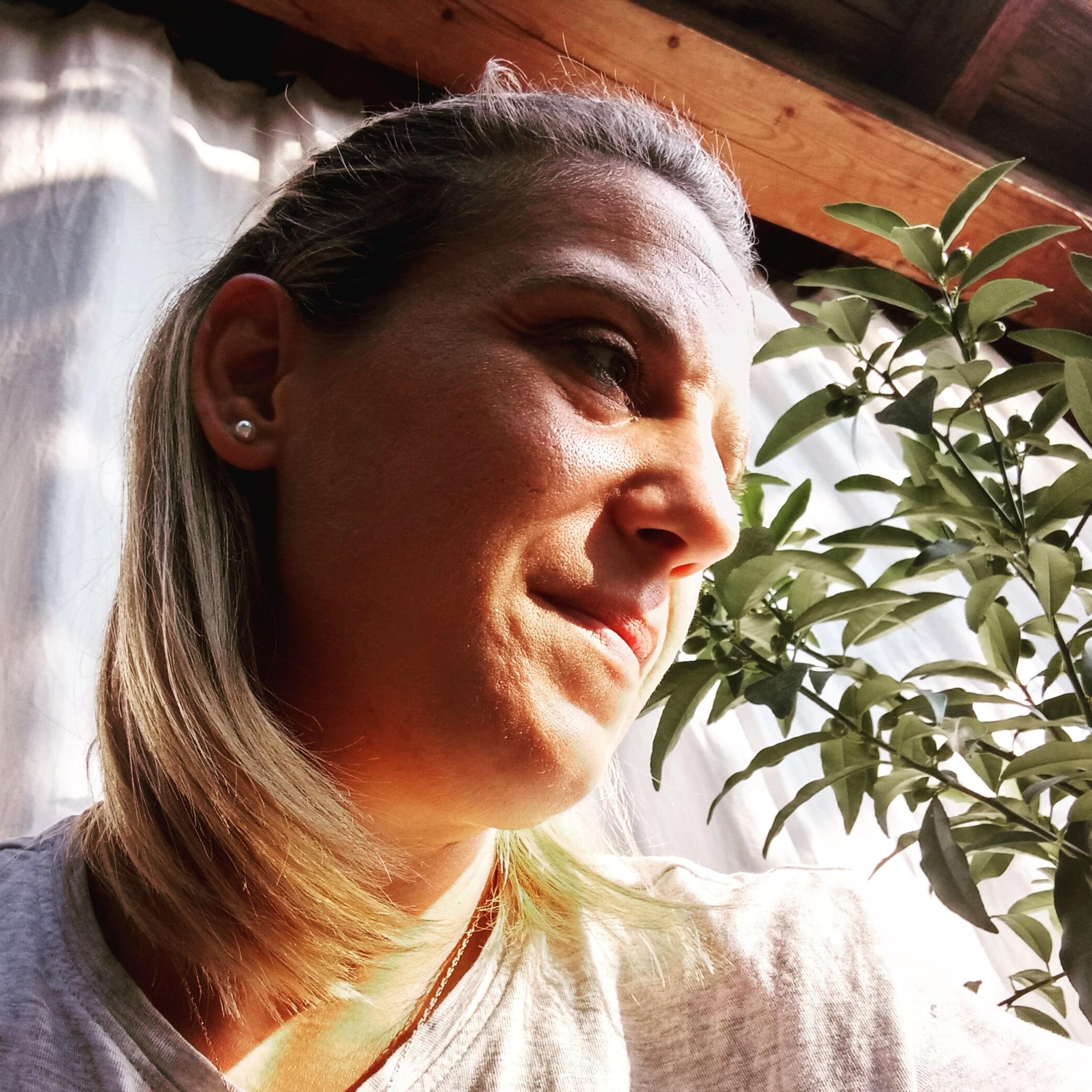 Federica Tacchini