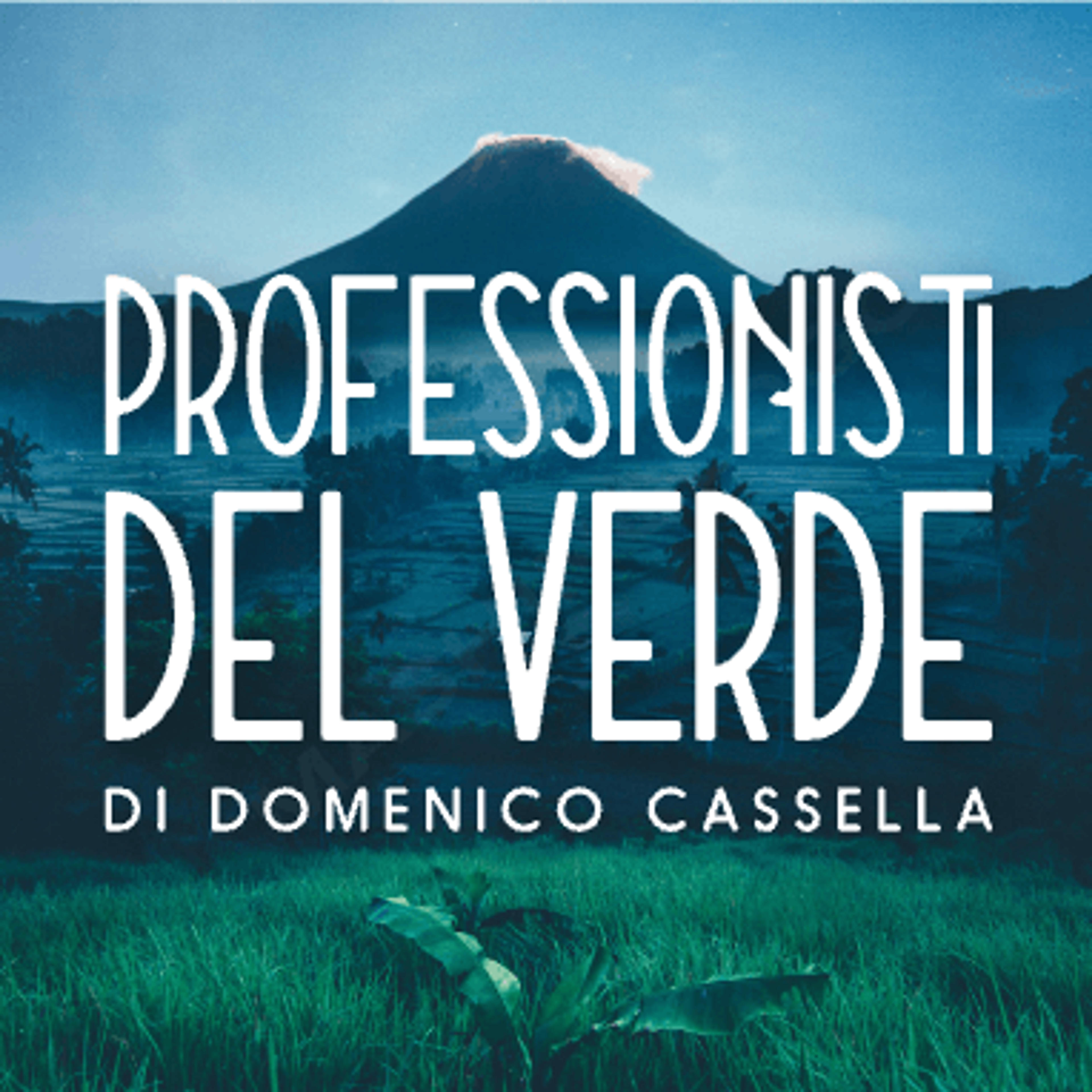 Domenico Cassella