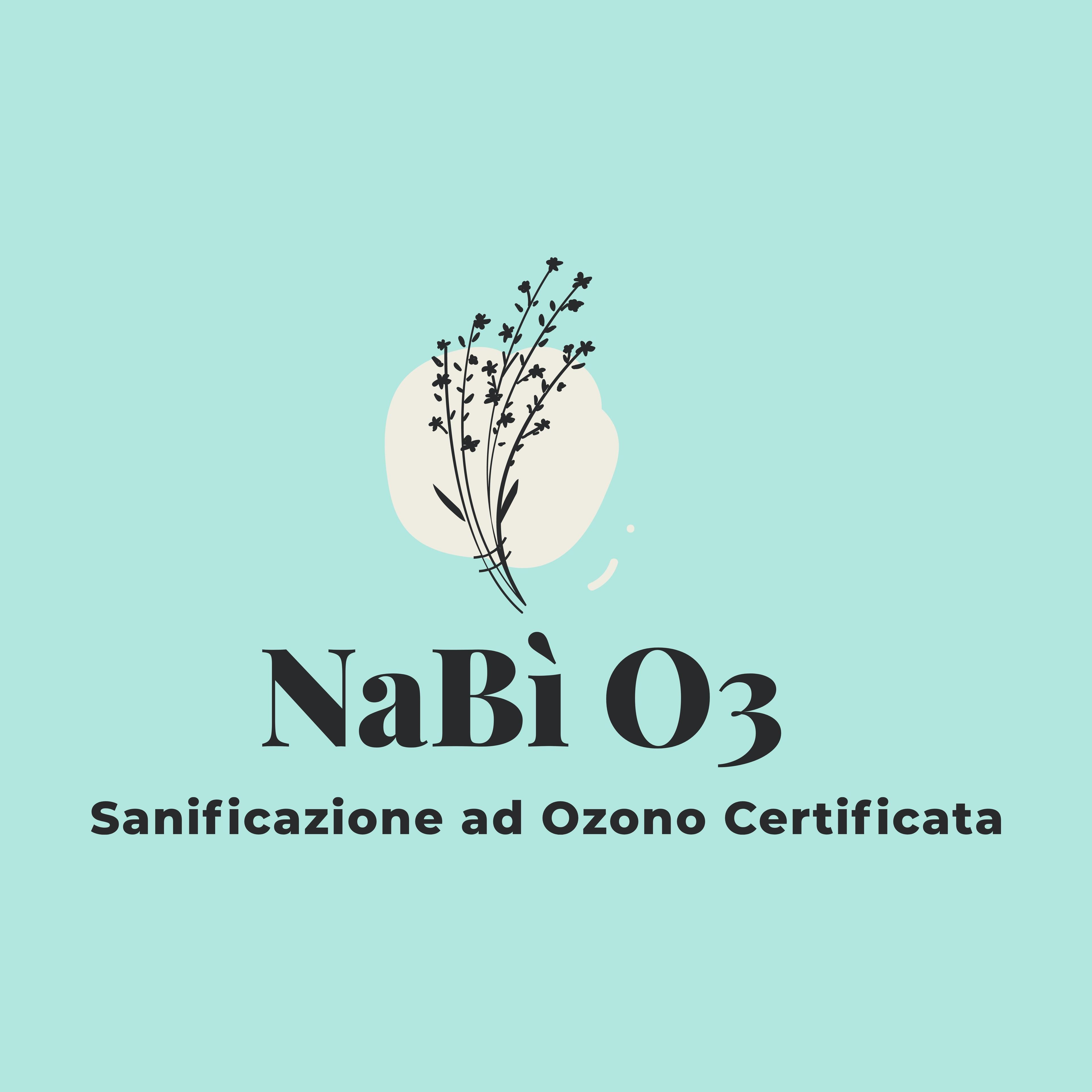 NaBì O3