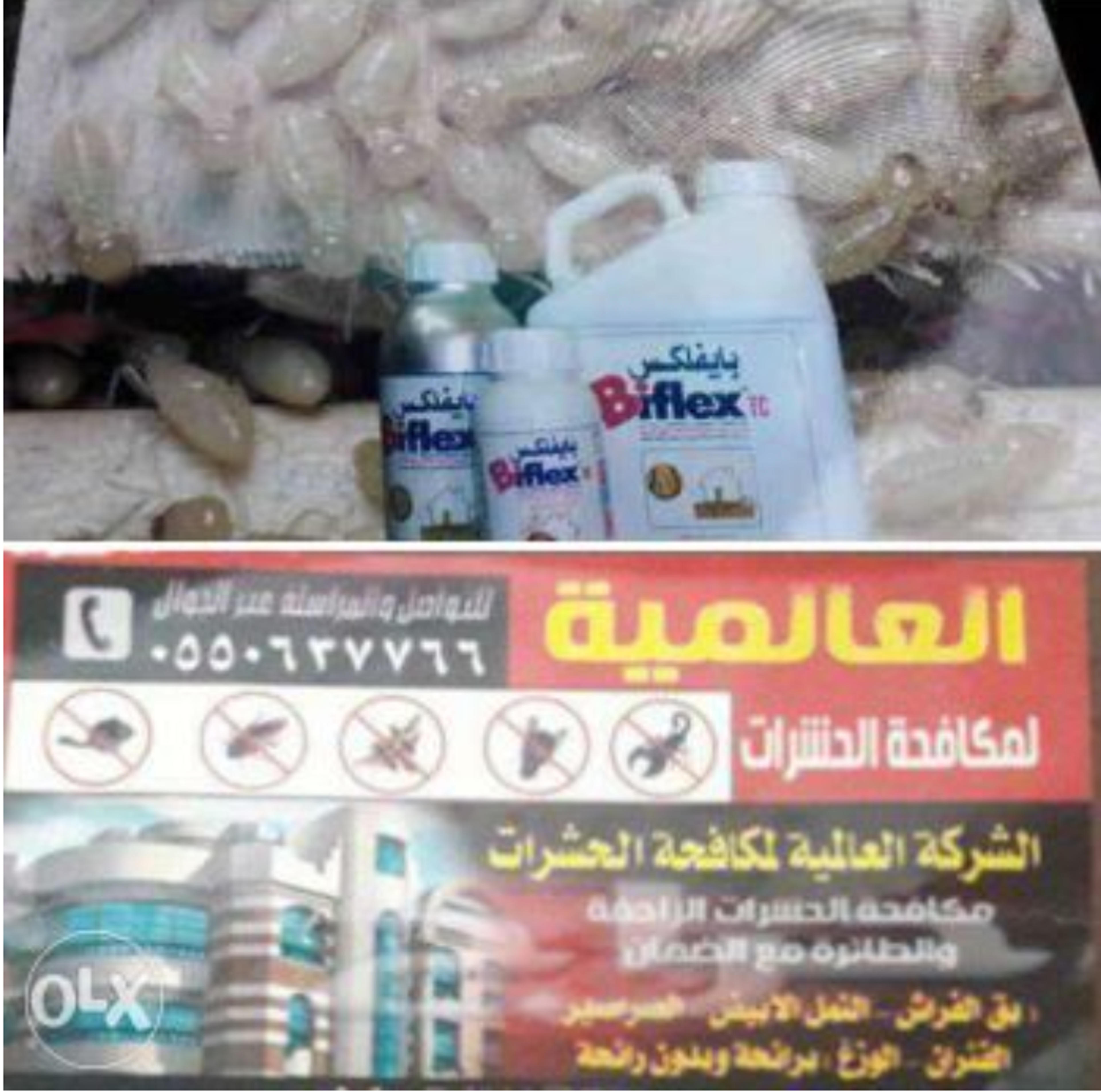 العالميه لمكافحه الحشرات