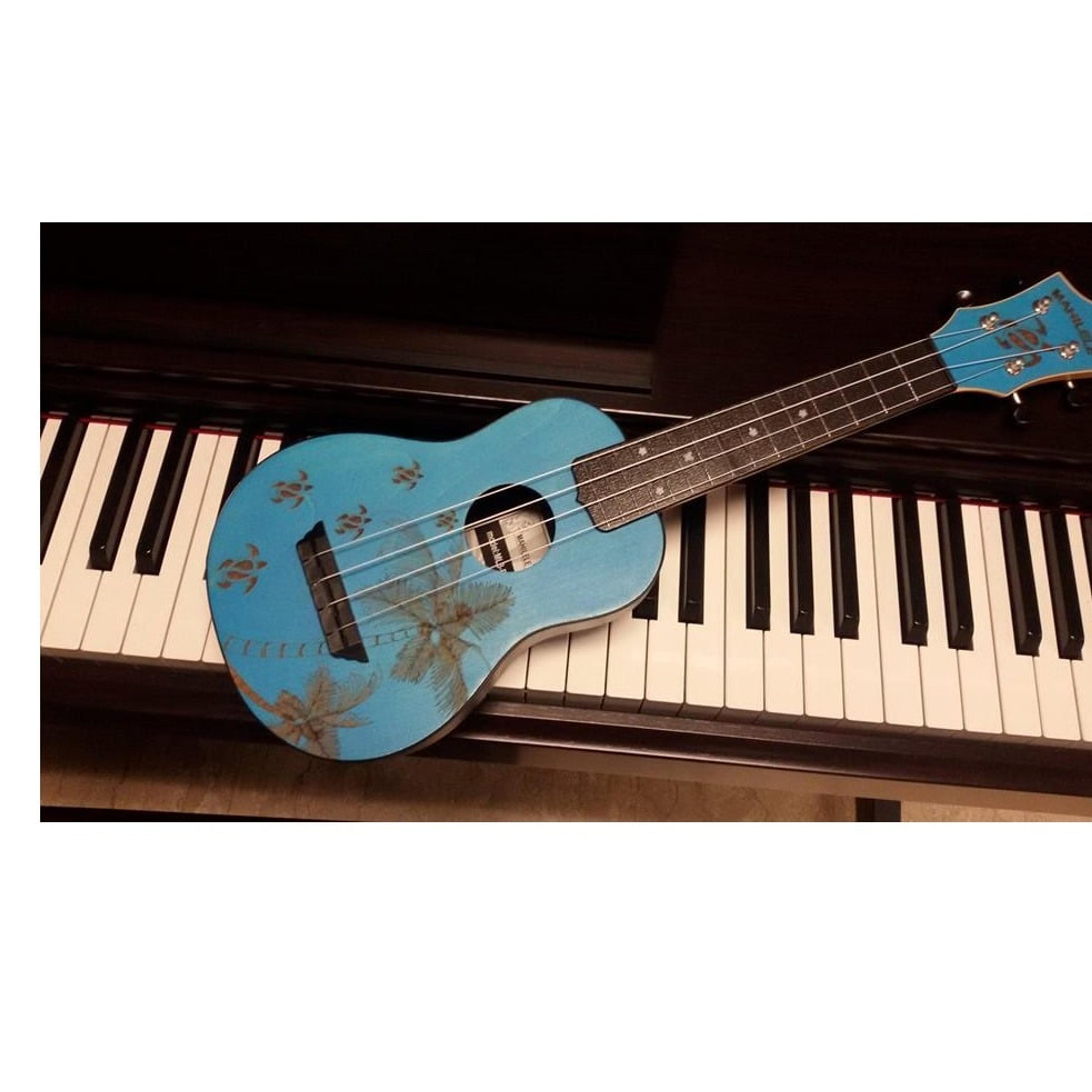 Pollismusic