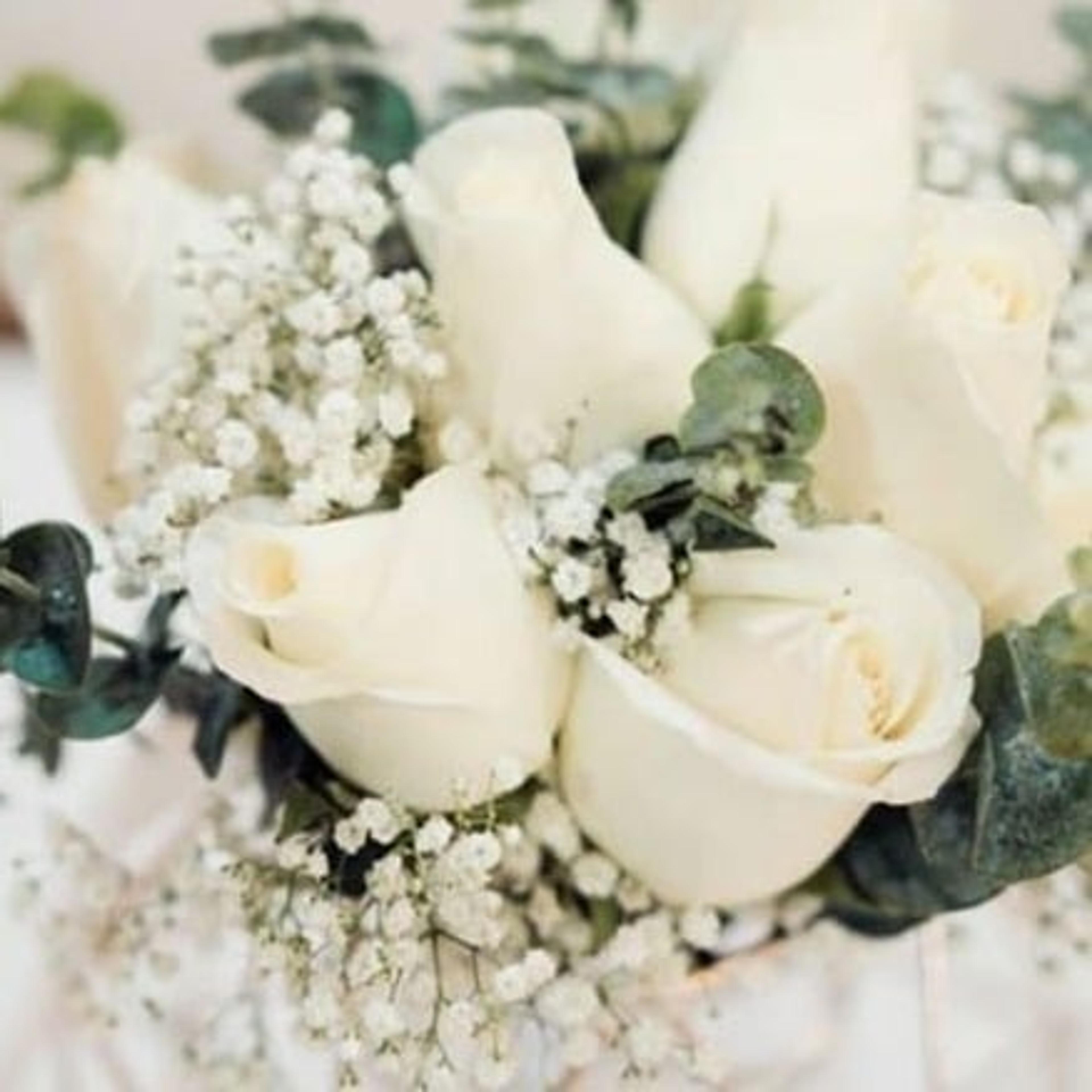 Wedding diVino