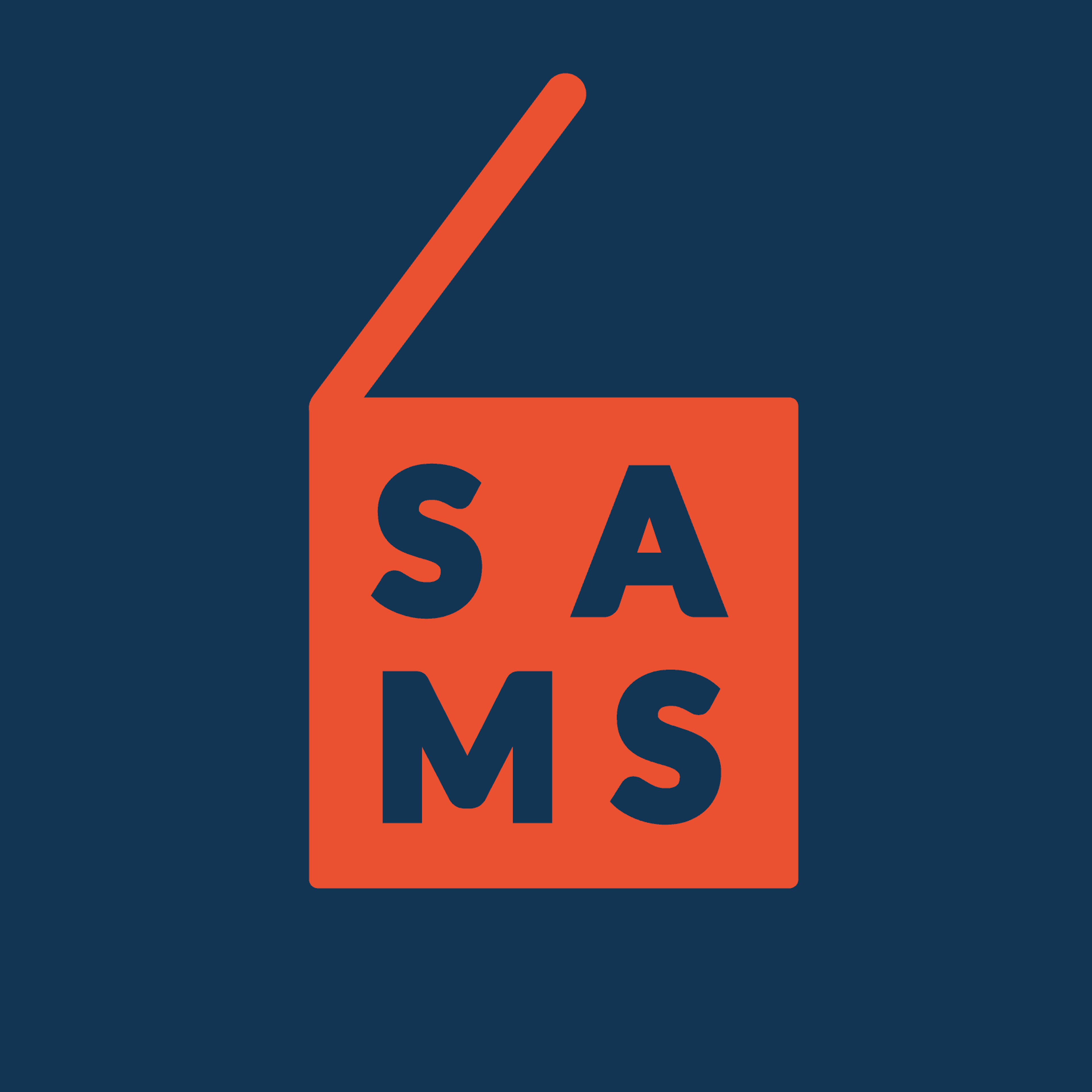 Sams S.r.l.