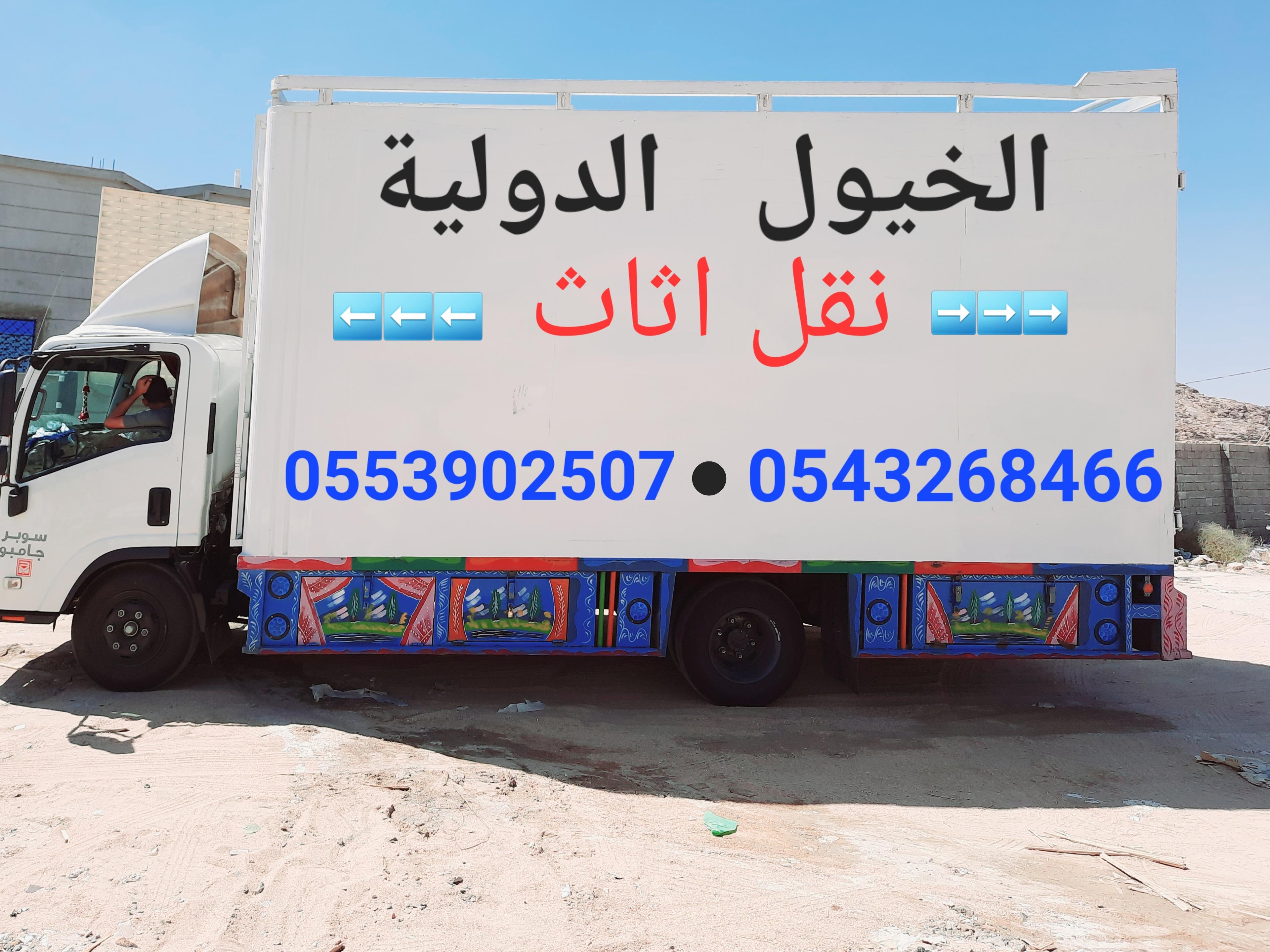 الخيول الدوليه