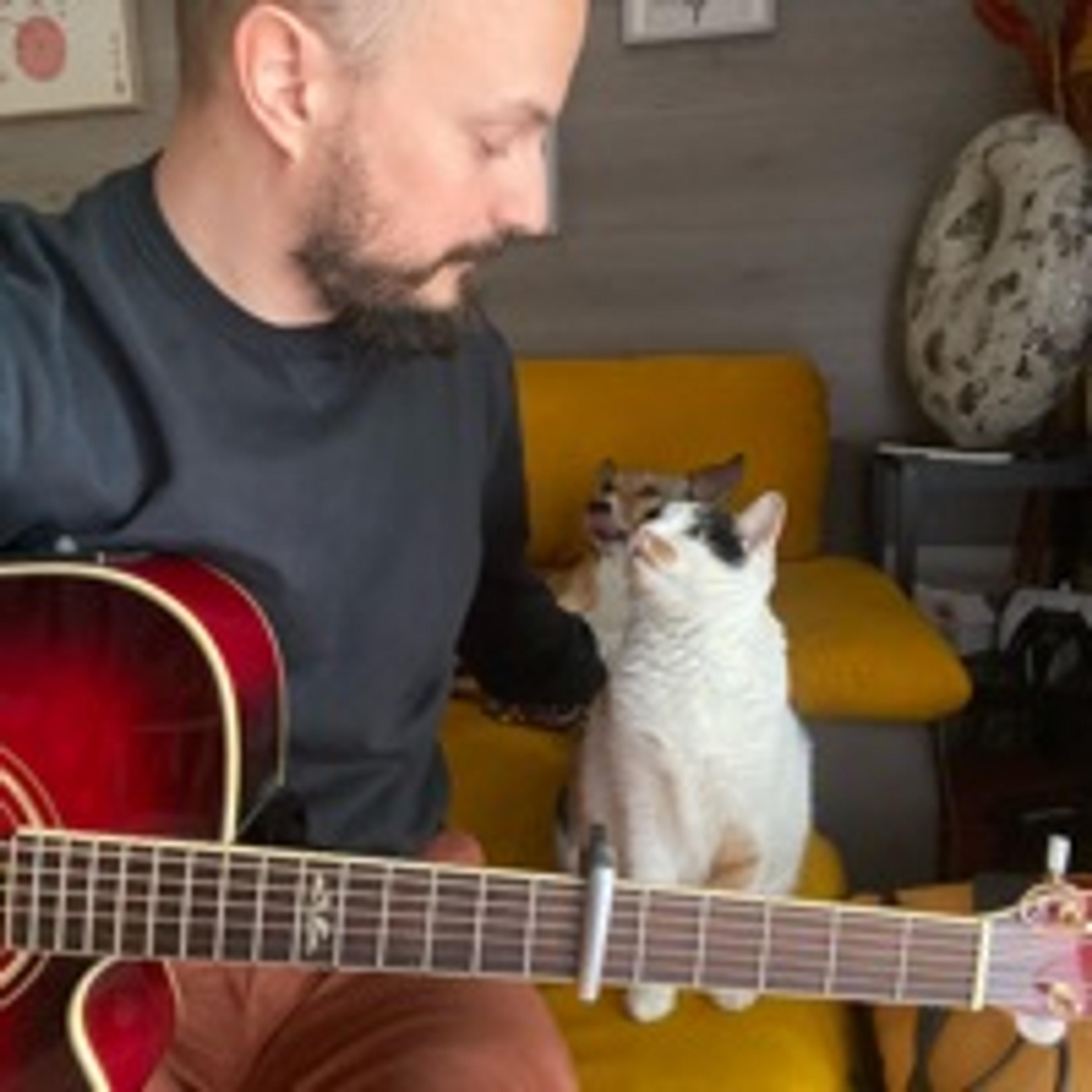 Fabrizio N