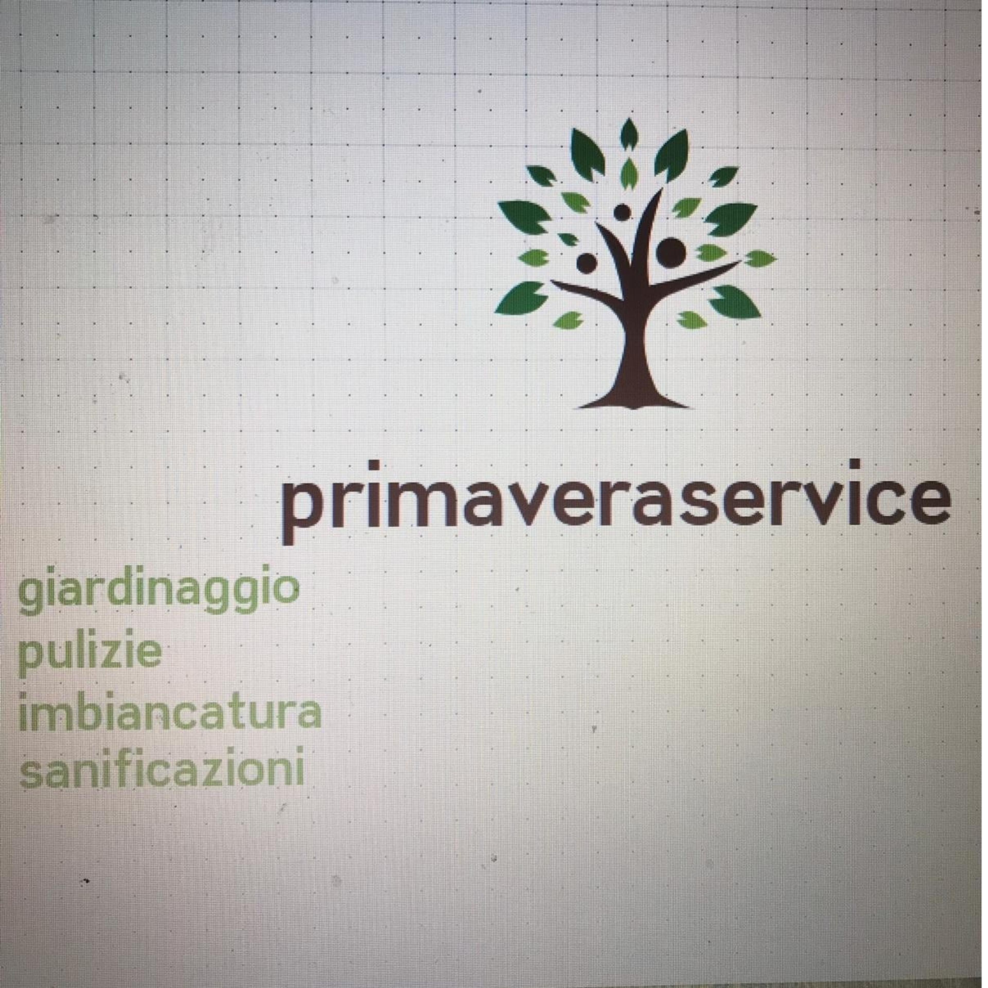 Primaveraservice