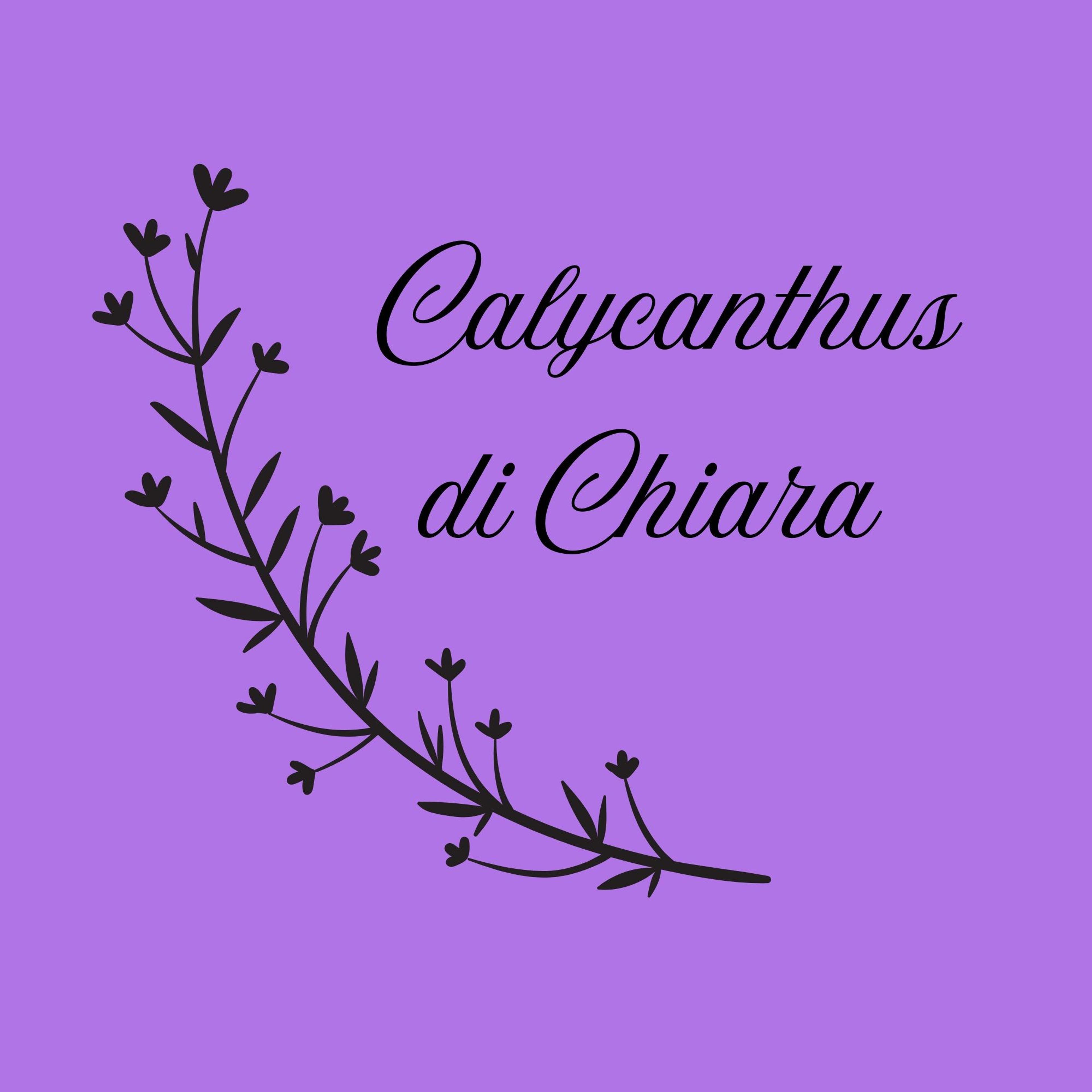 Calycanthus Di Chiara