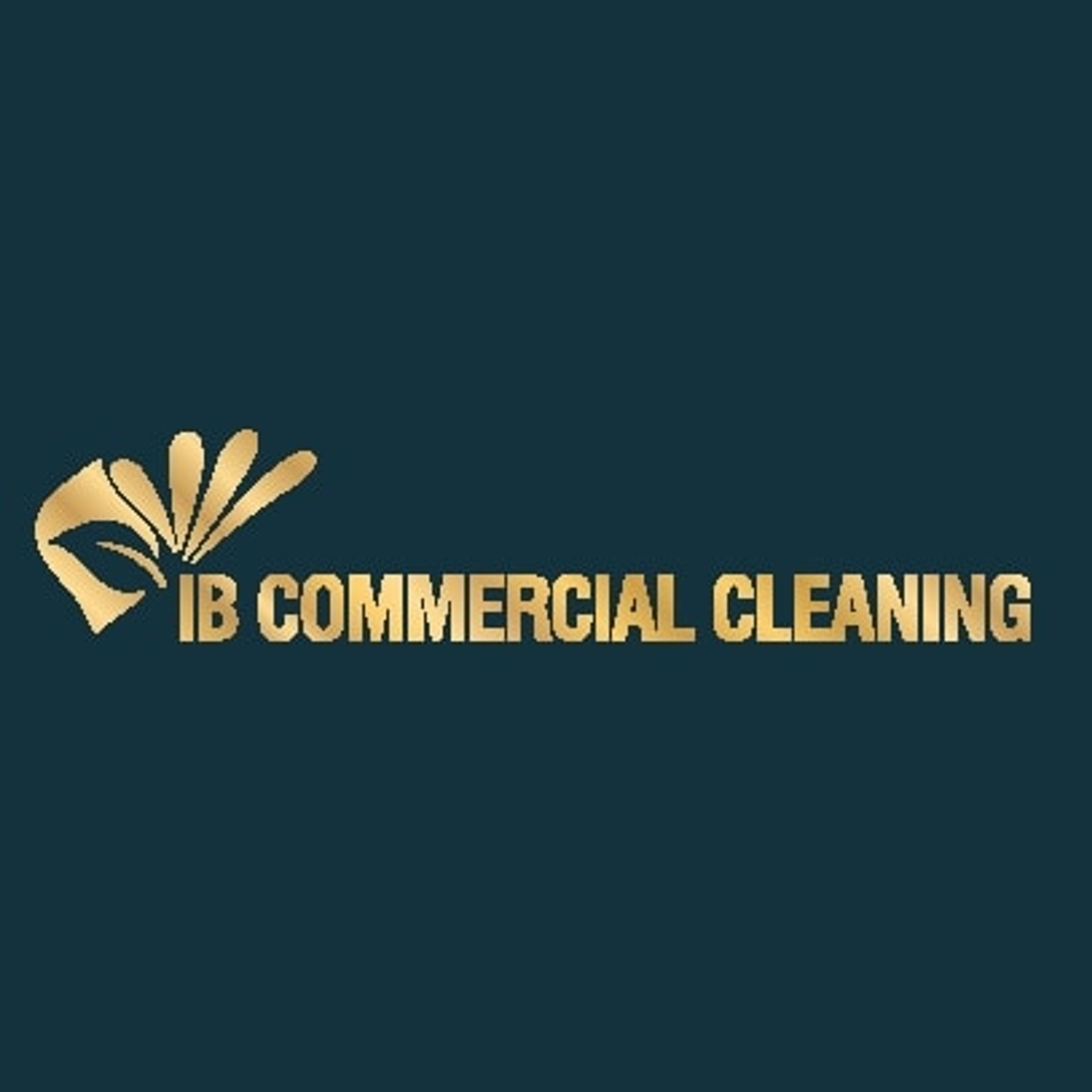 IB commercial cleaning
