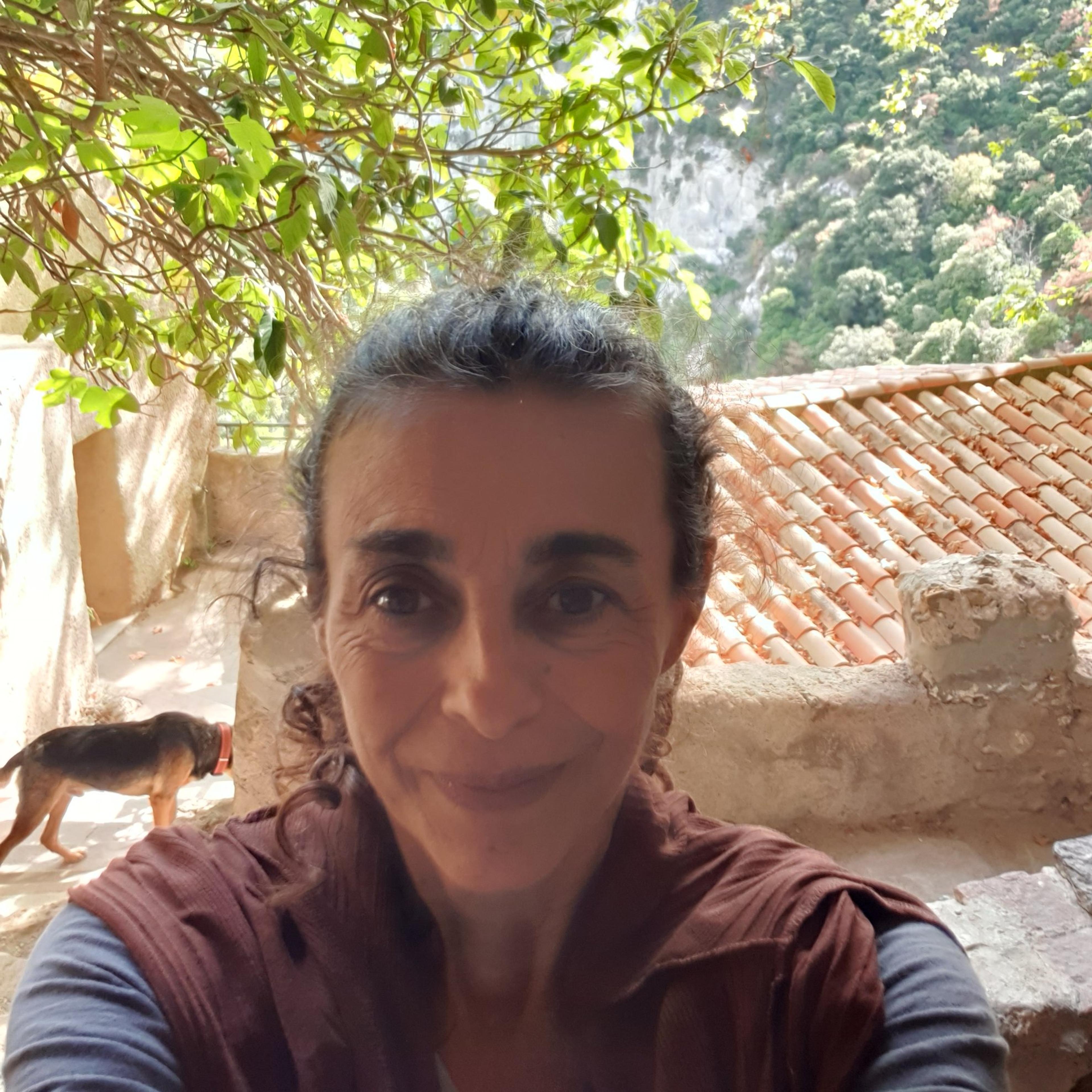 Andrea Gavio