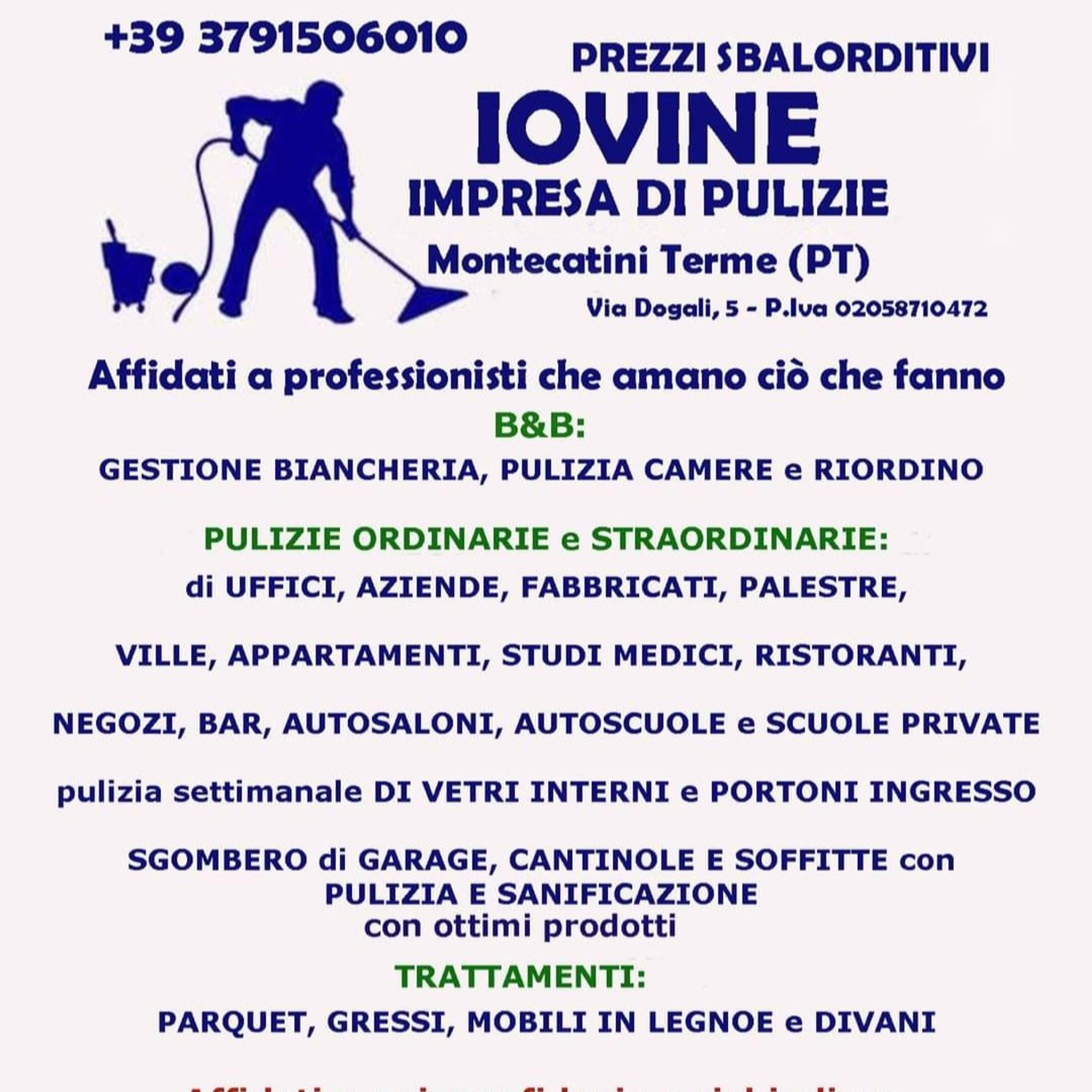 IMPRESA DI PULIZIE IOVINE