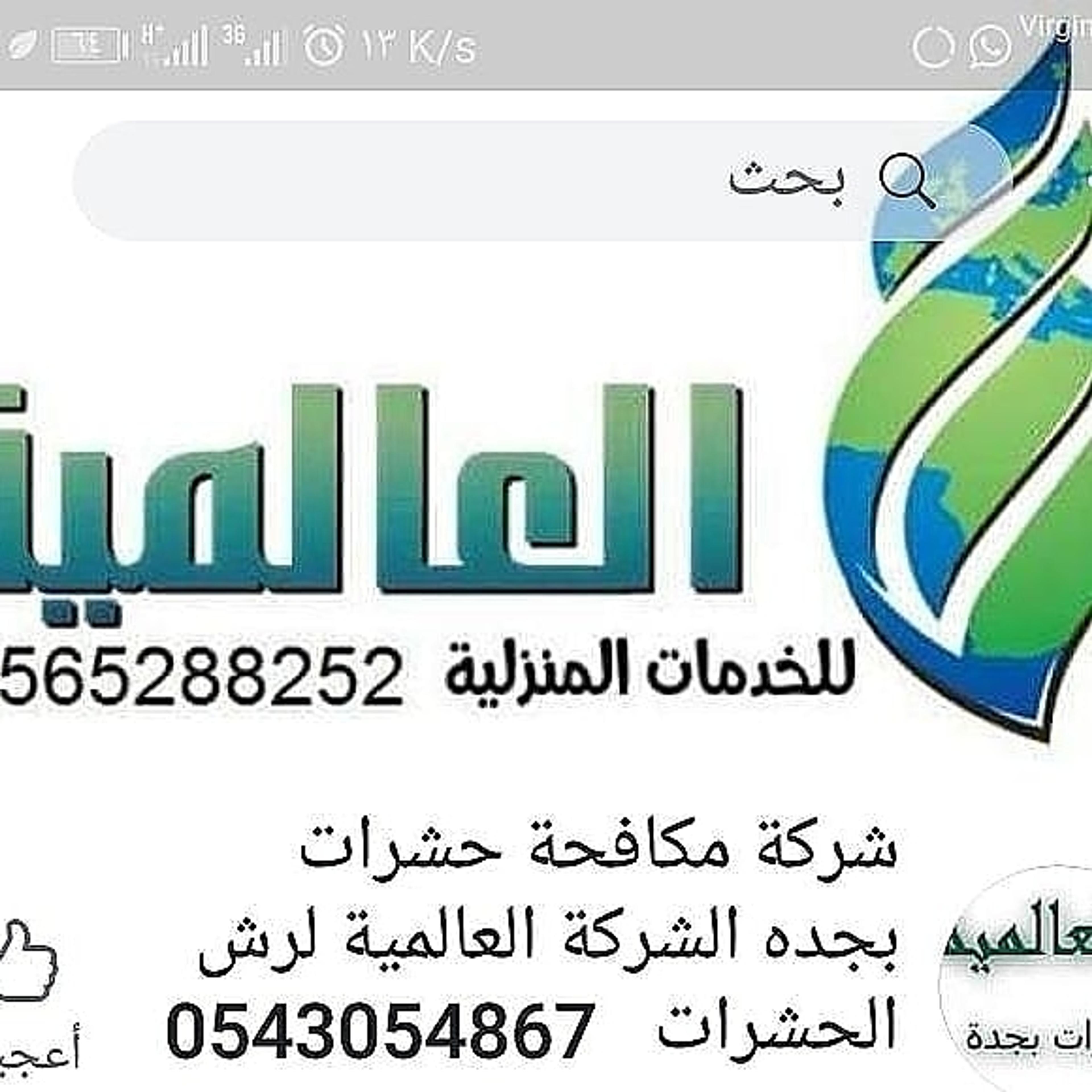 العالميه لرش الحشرات