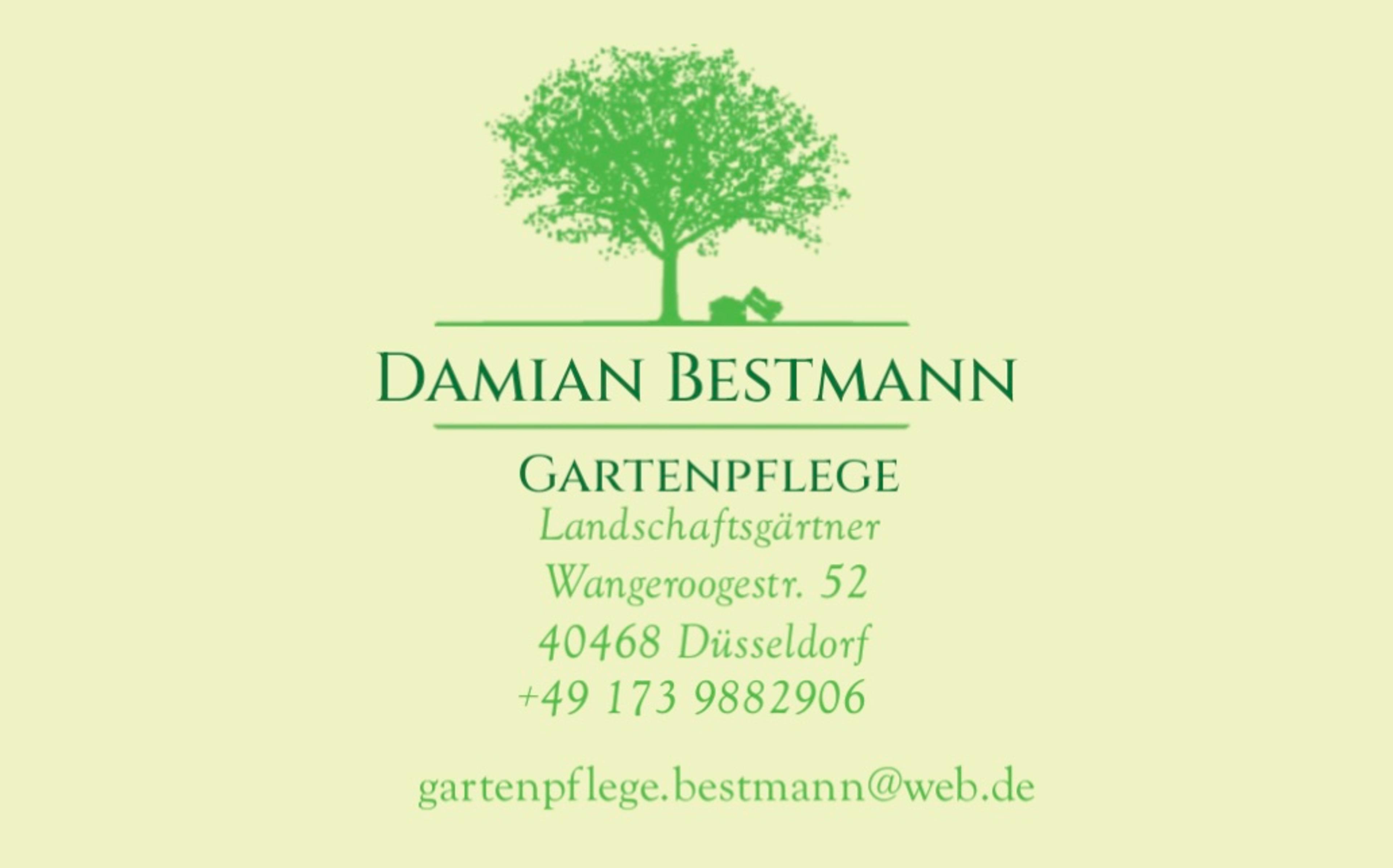Damian Bestmann