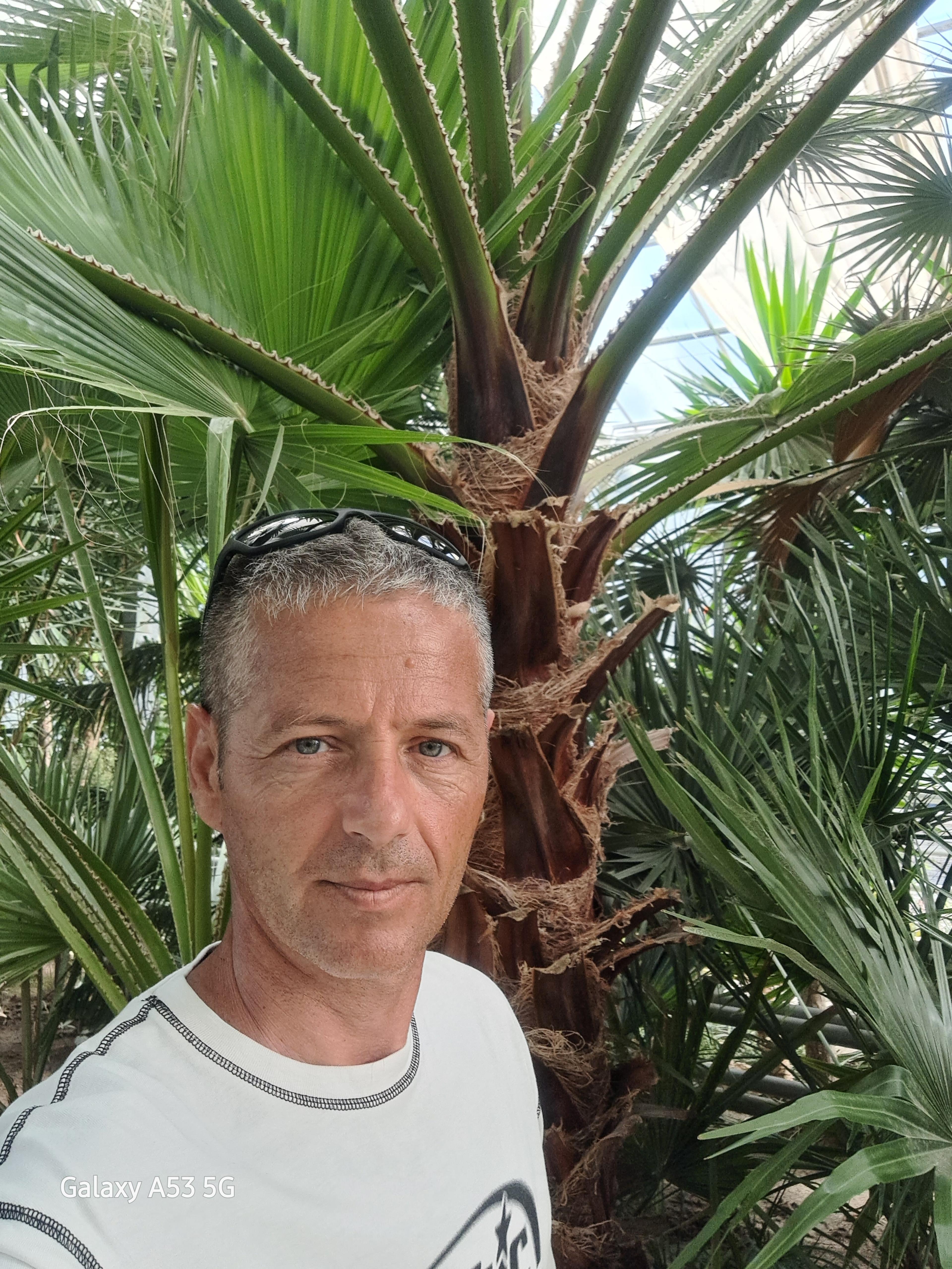 Nastase Gabriel