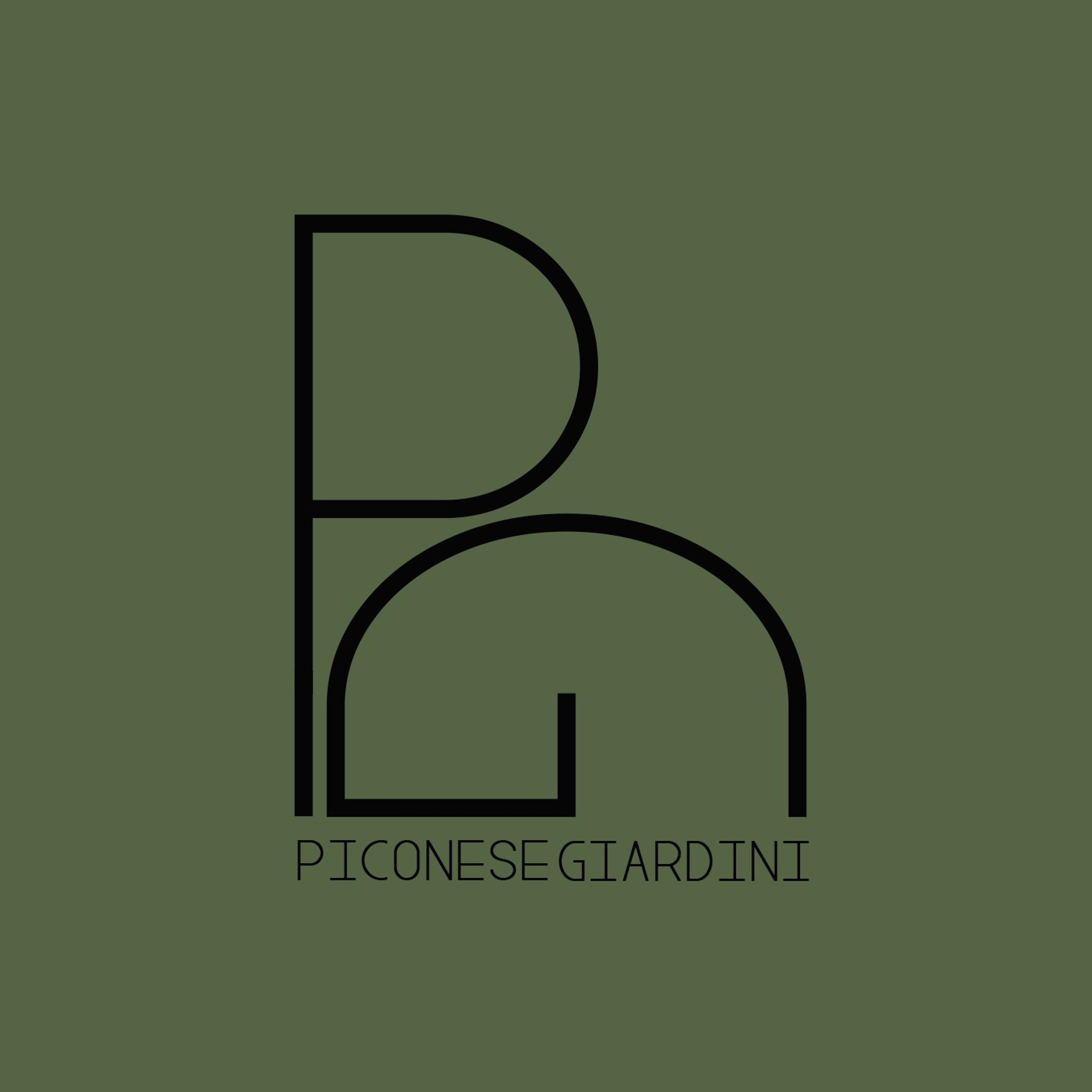 Mattia Piconese