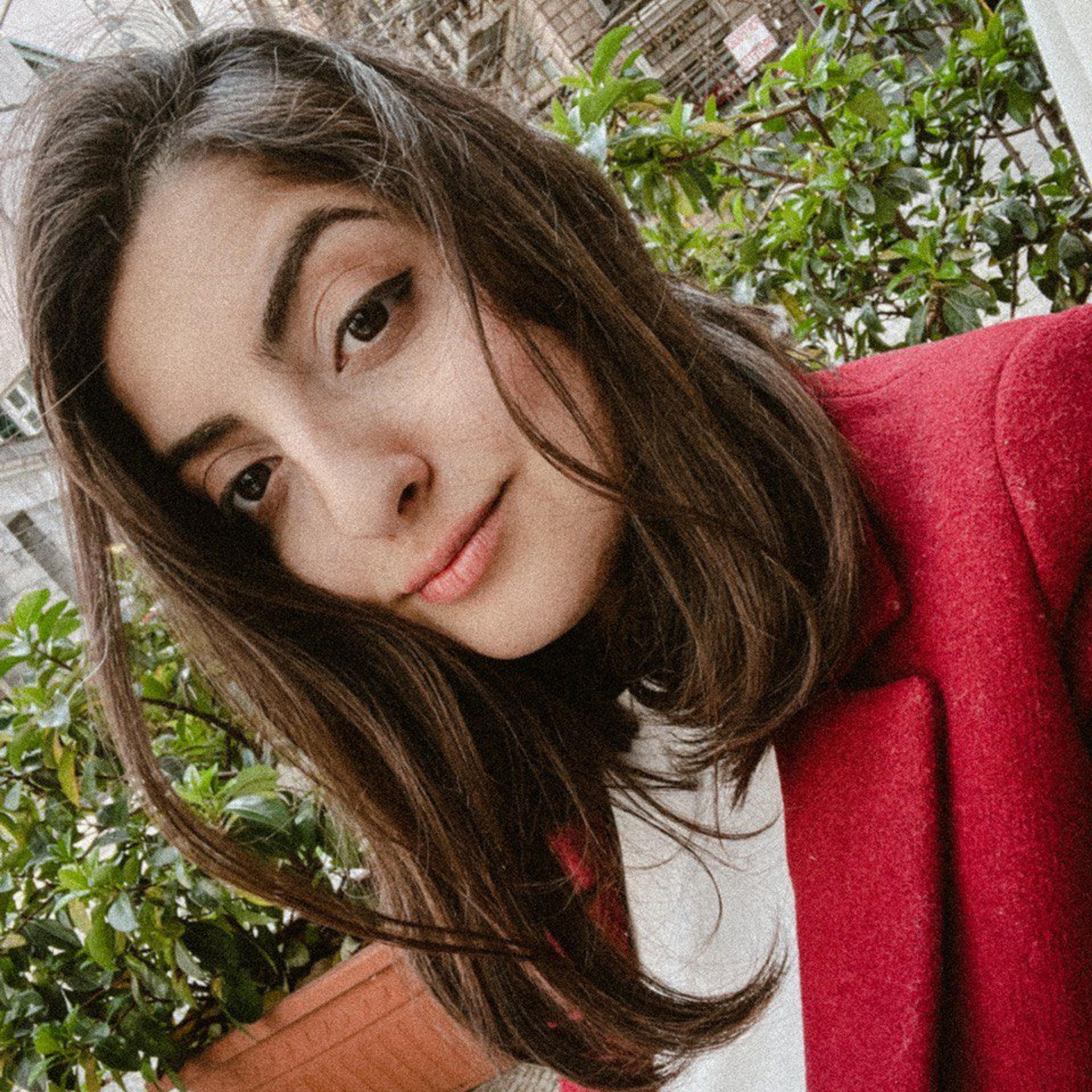 Fati Miandareh