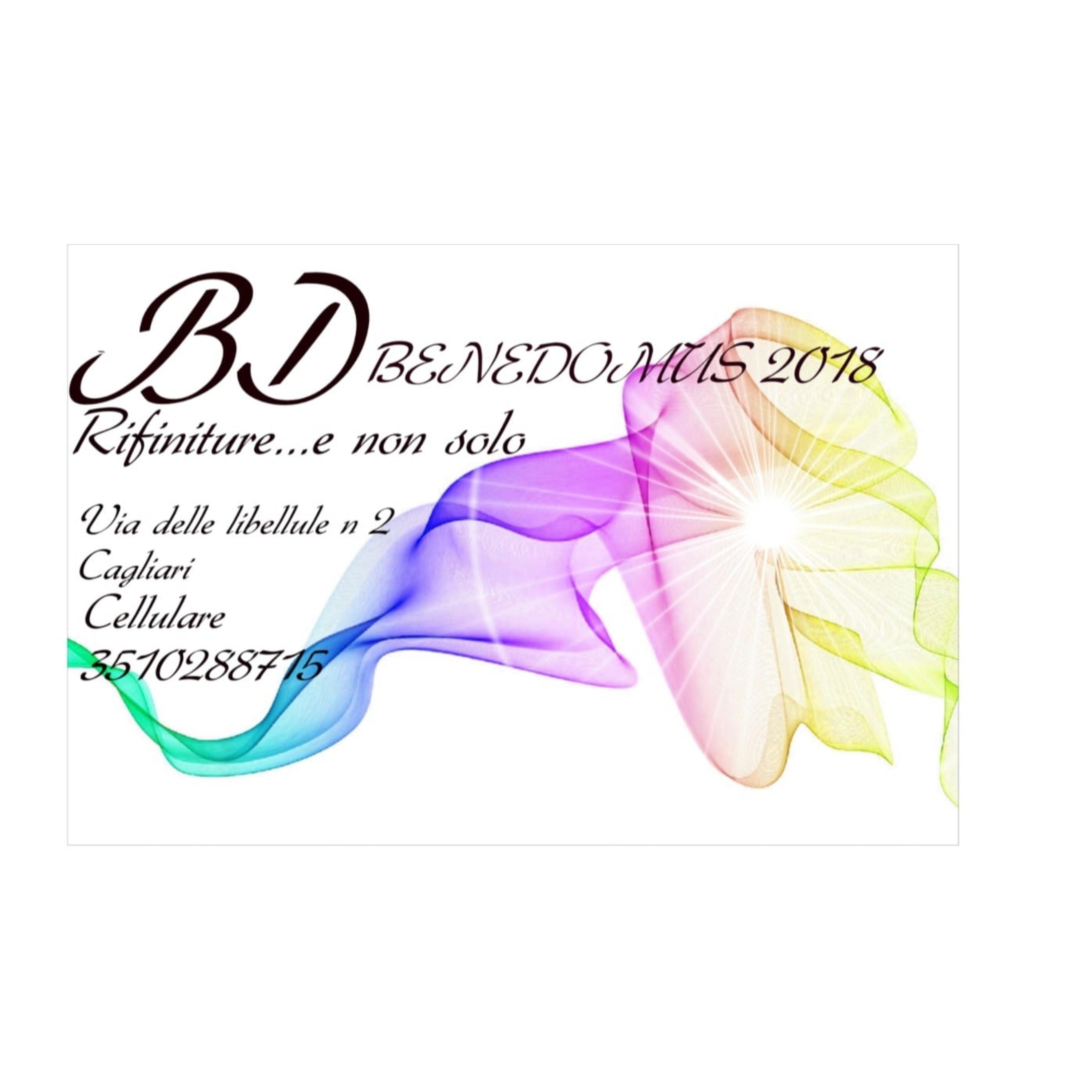 BENEDOMUS 2018