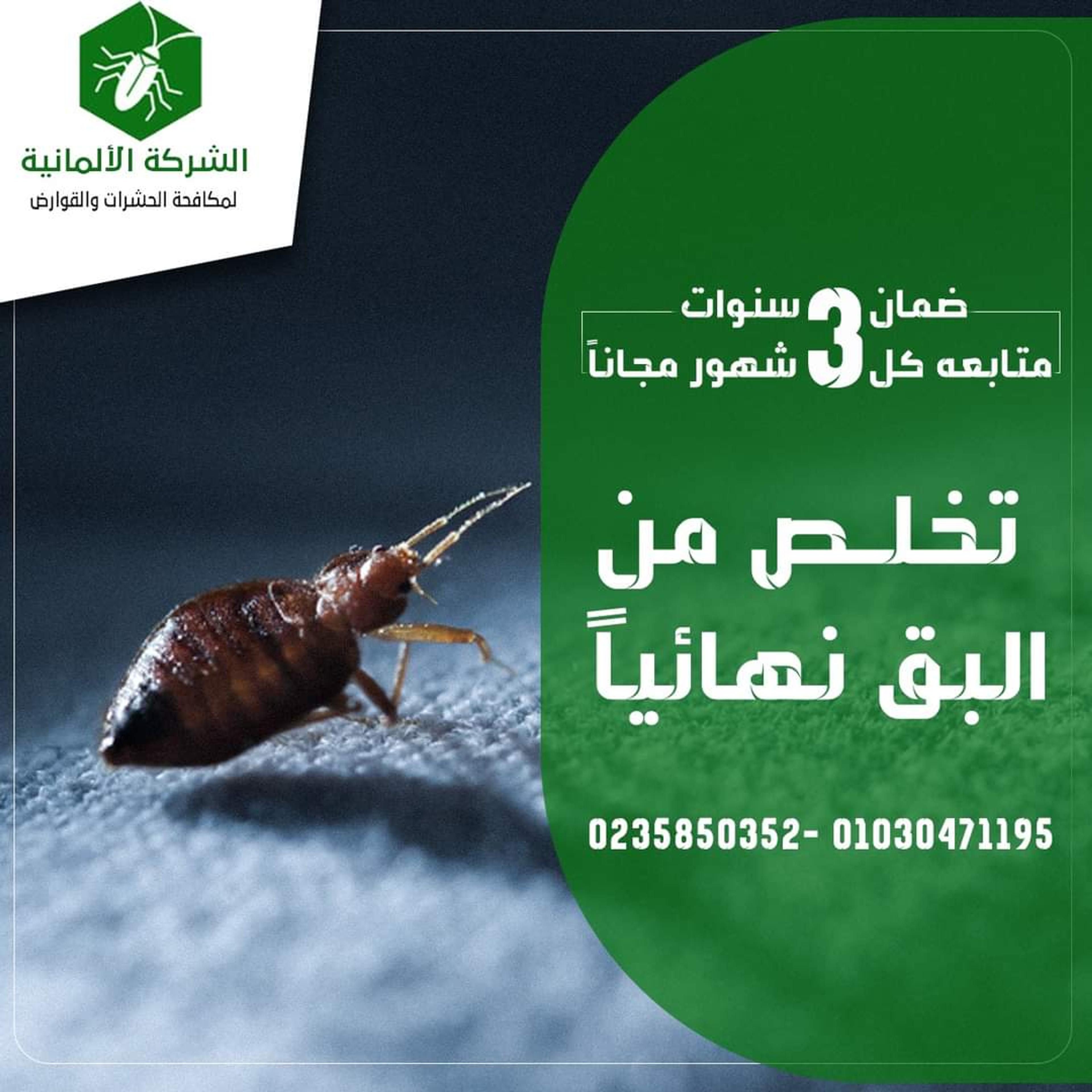 الشركه الالمانيه لمكافحه الحشرات والبق والفئران