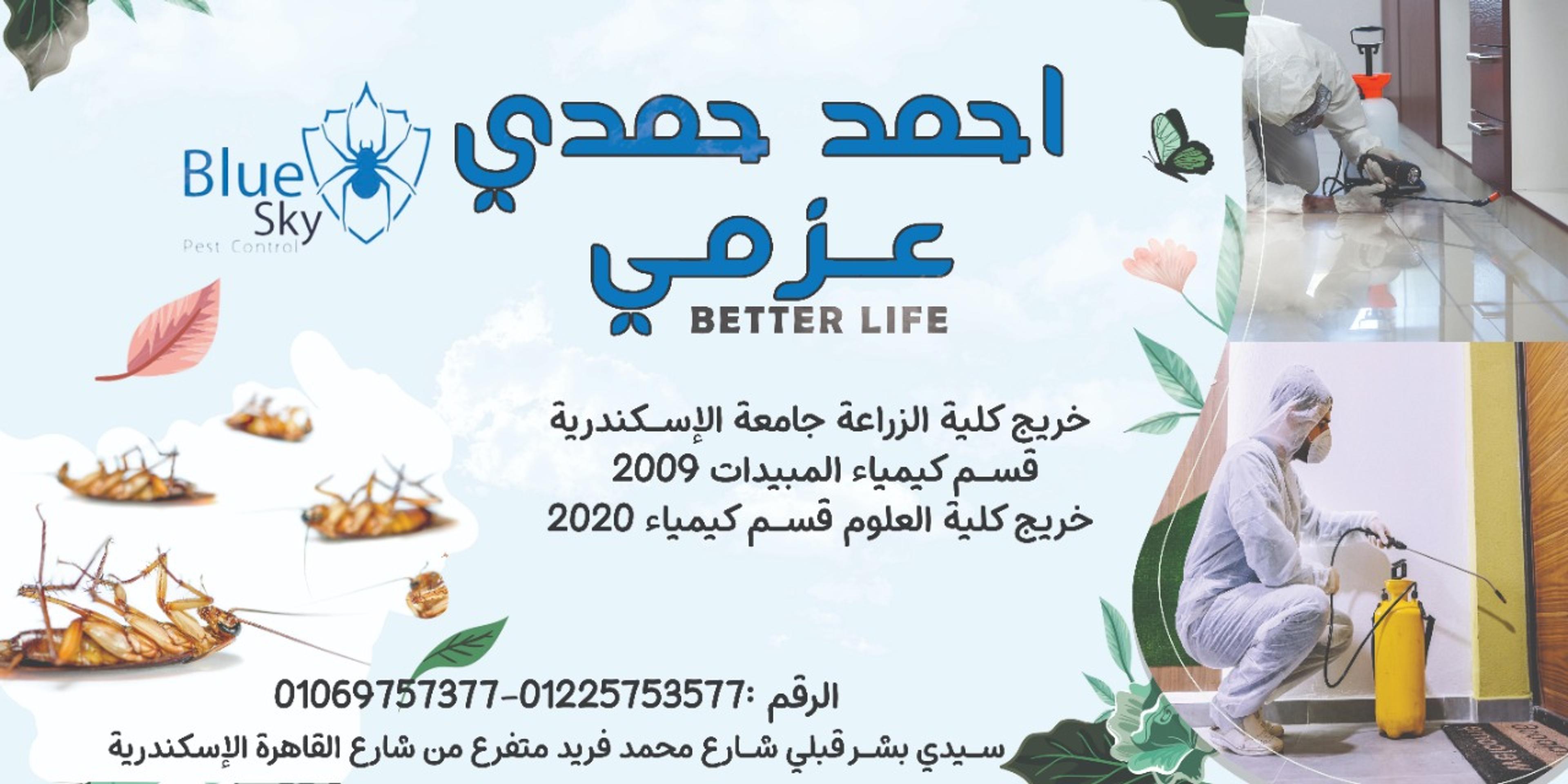 احمد حمدي عزمي