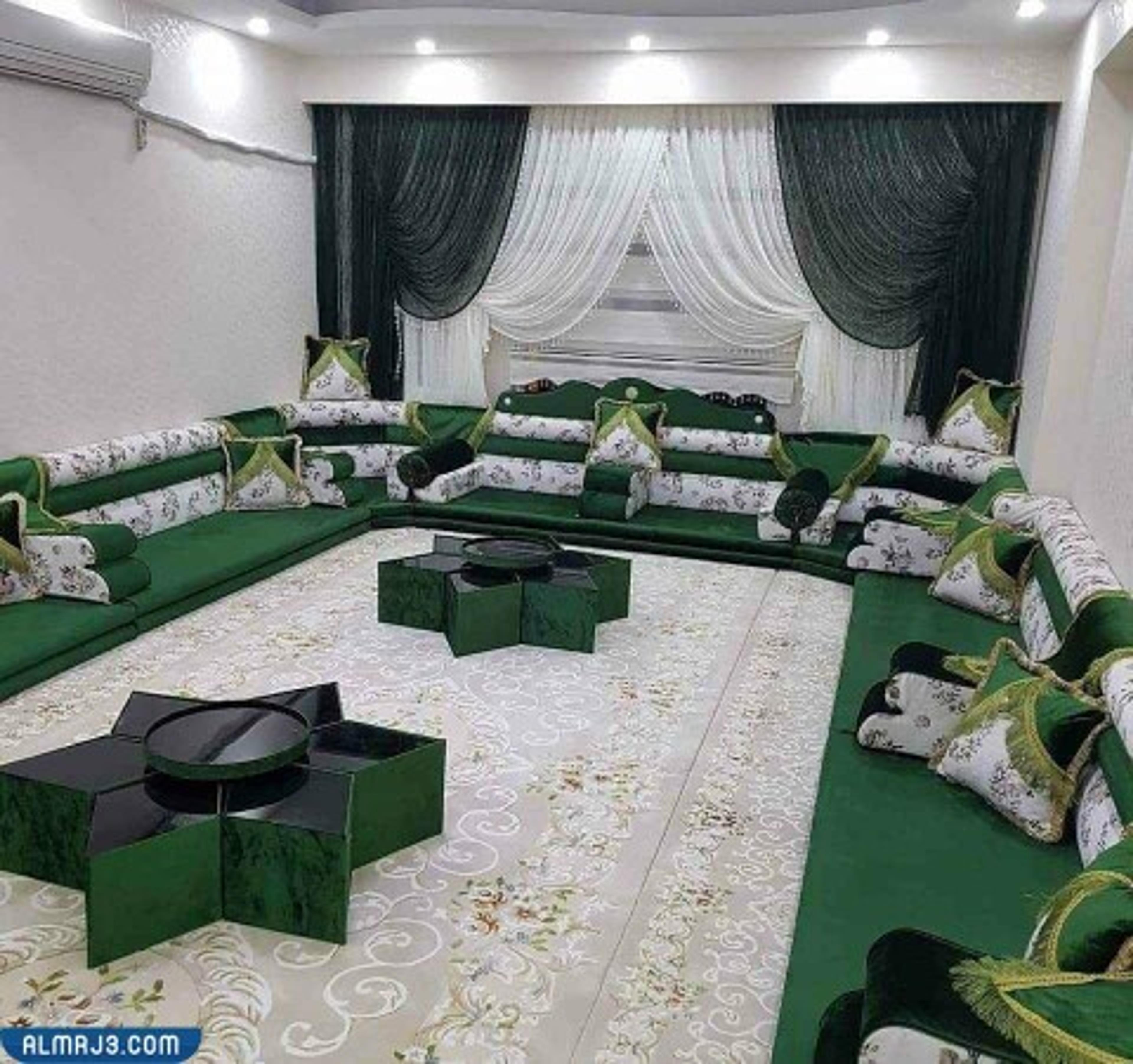 نسر المملكة