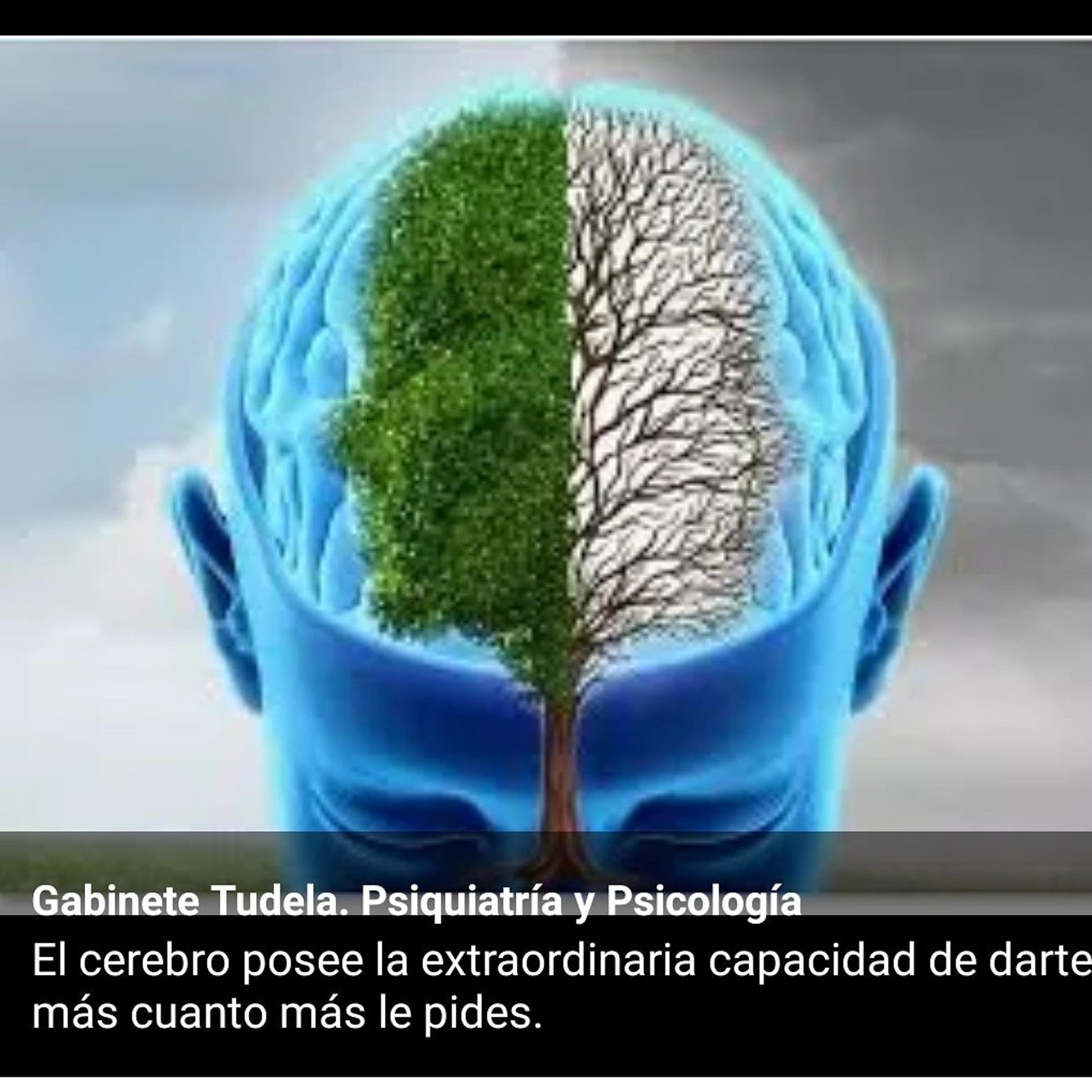 Alberto Cornago Guillen