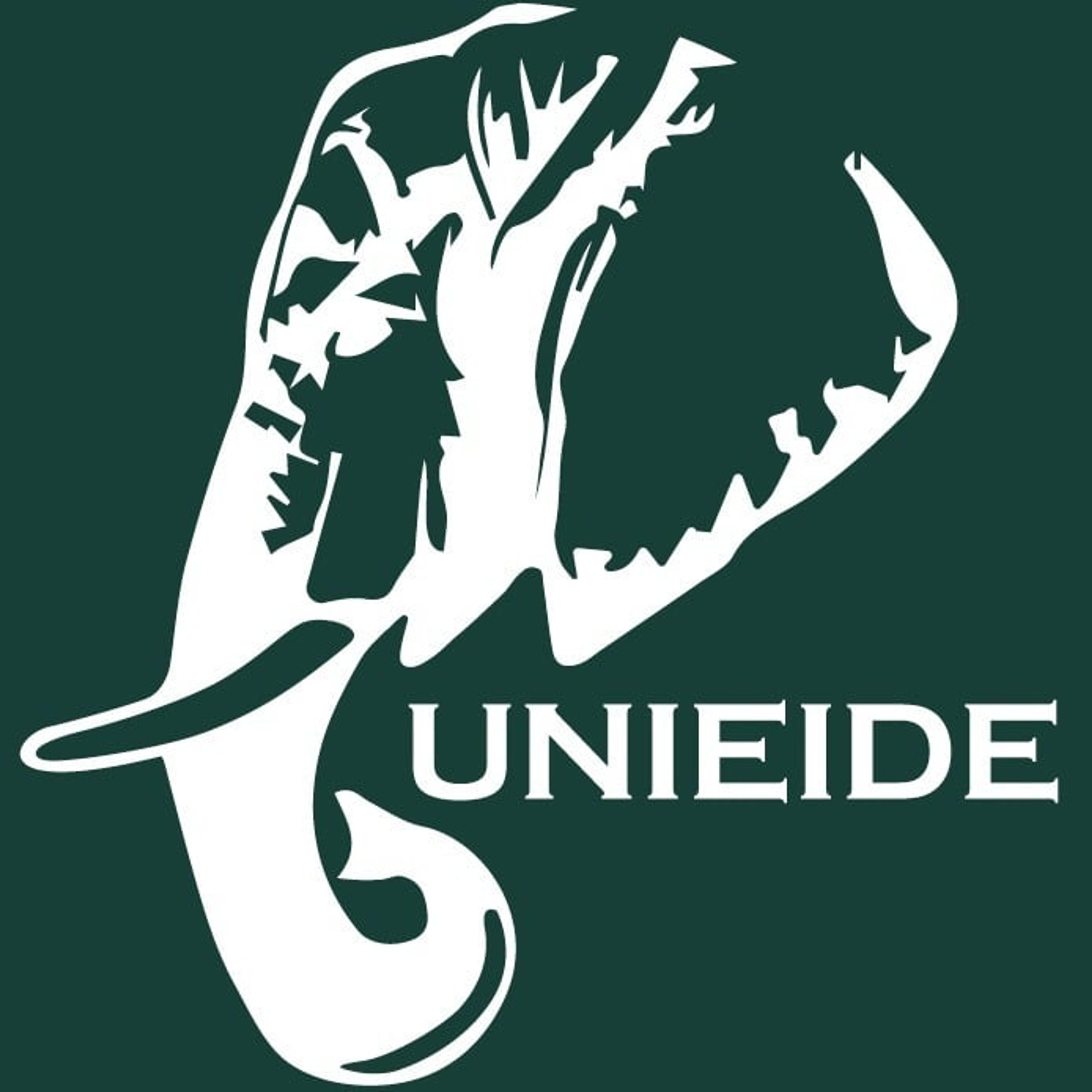 UNIEIDE S.r.l.