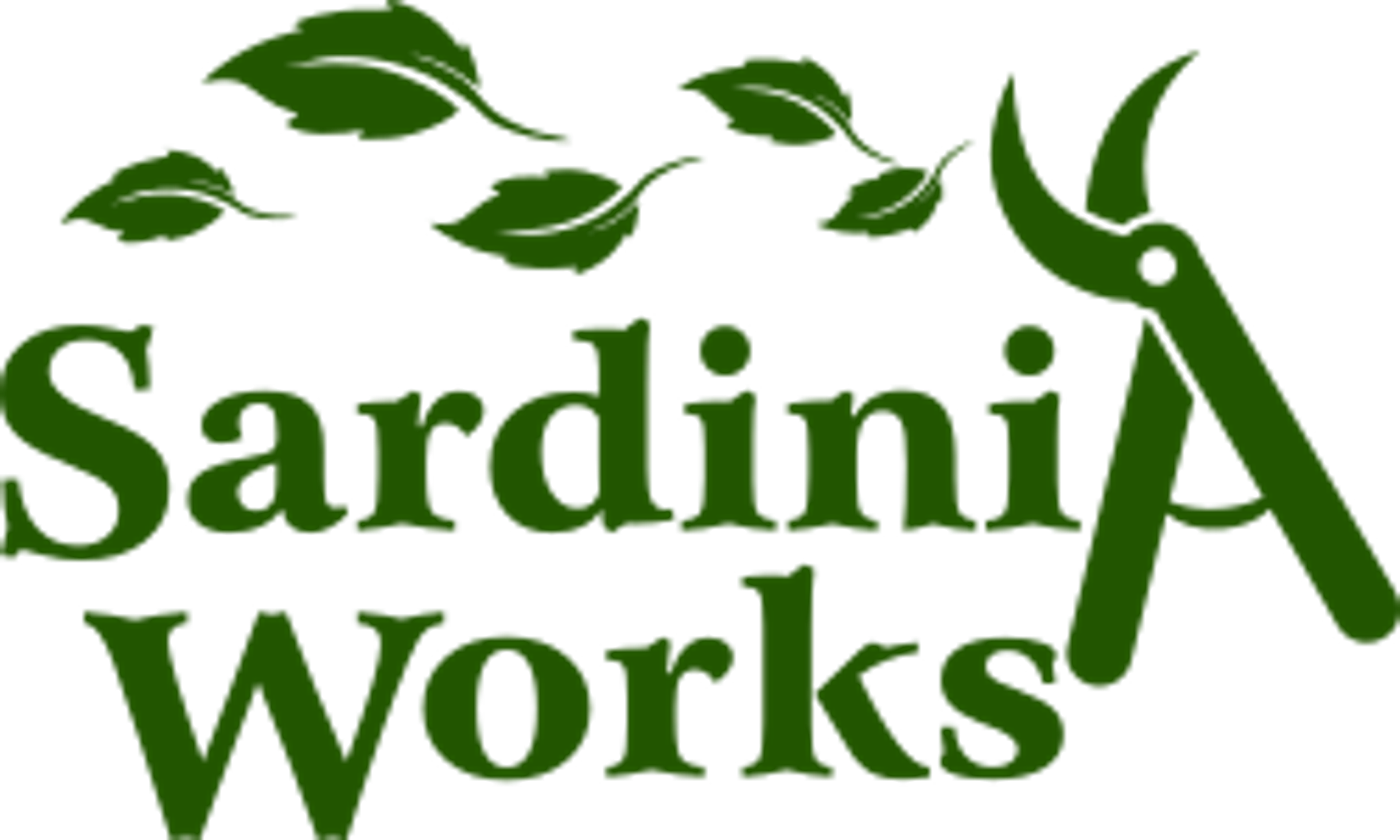 Sardinia works srl di frau pierluigi