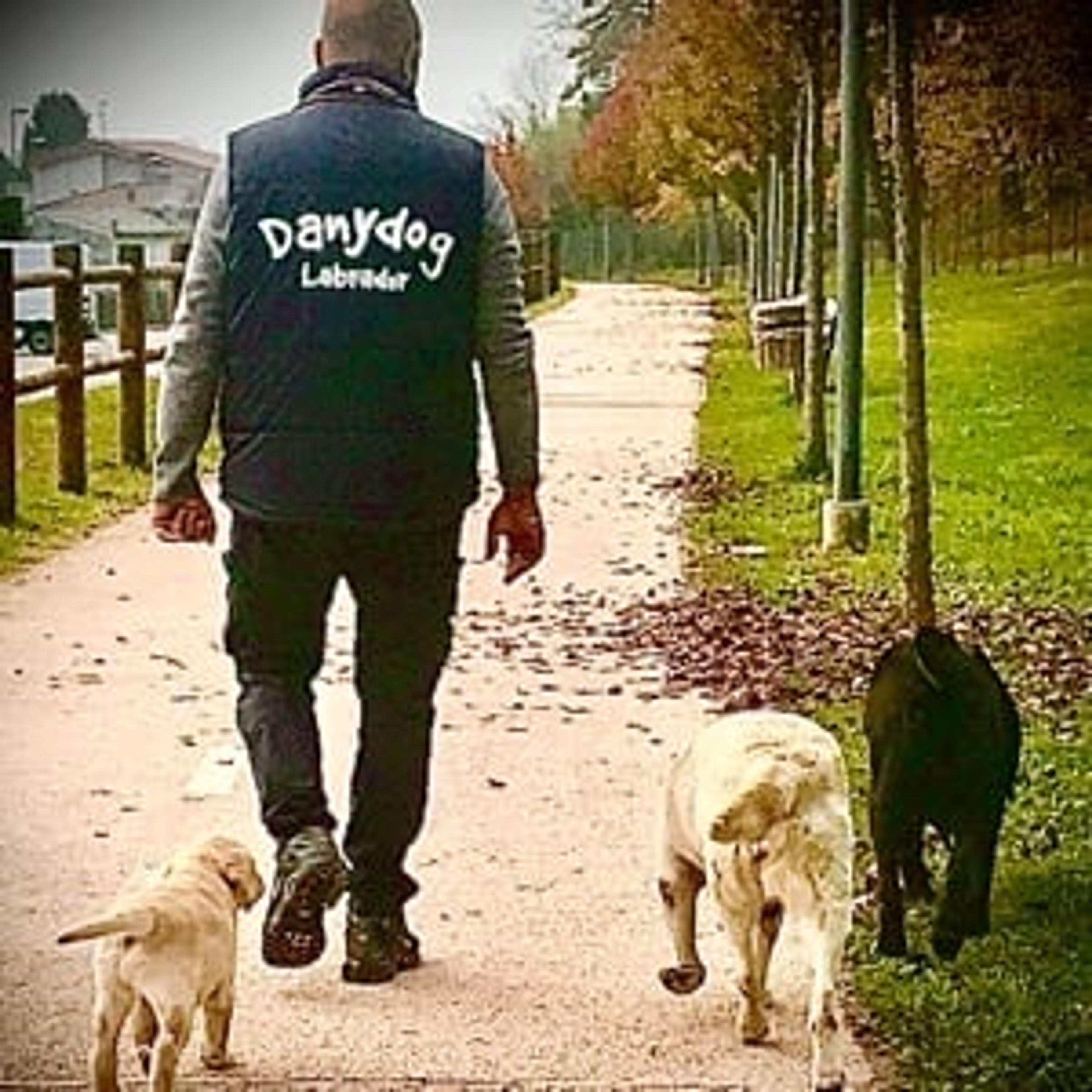 Danydog