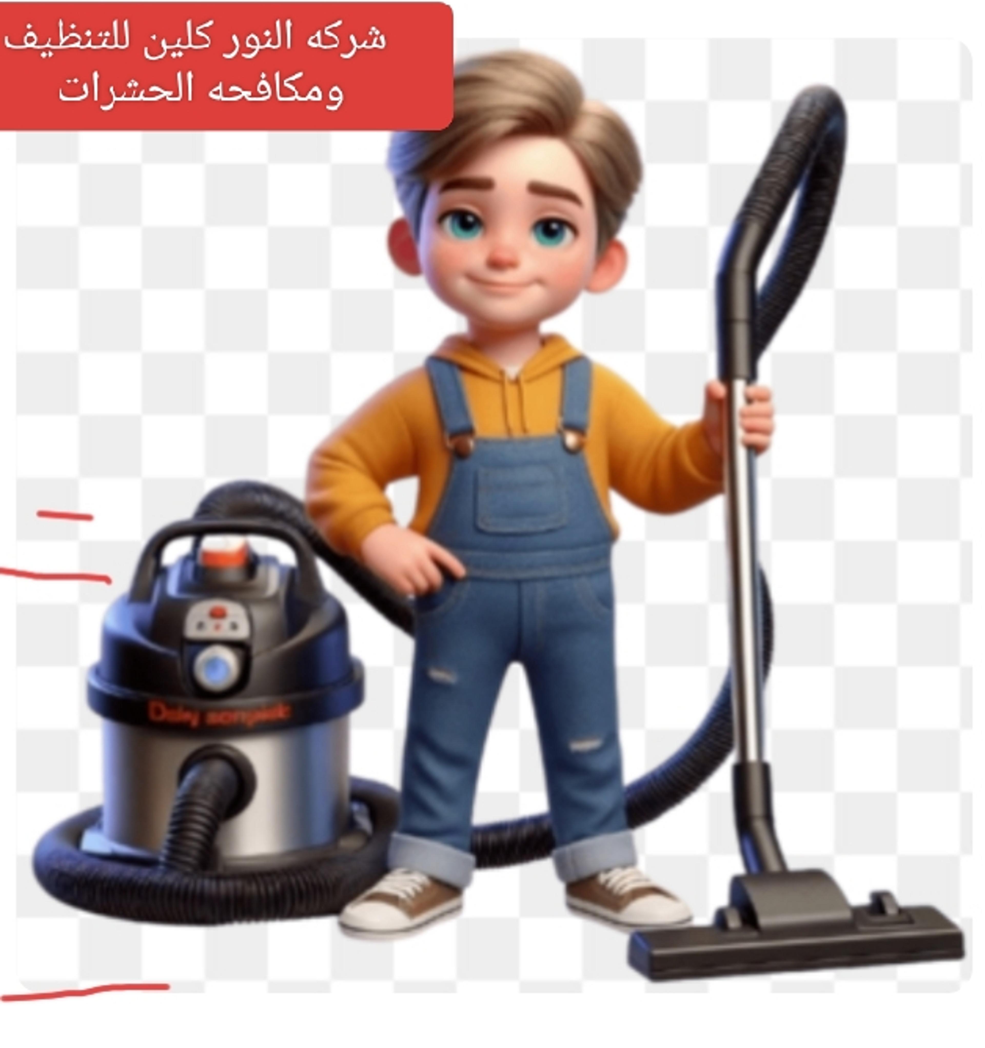 شركه النور كلين للتنظيف ومكافحه الحشرات