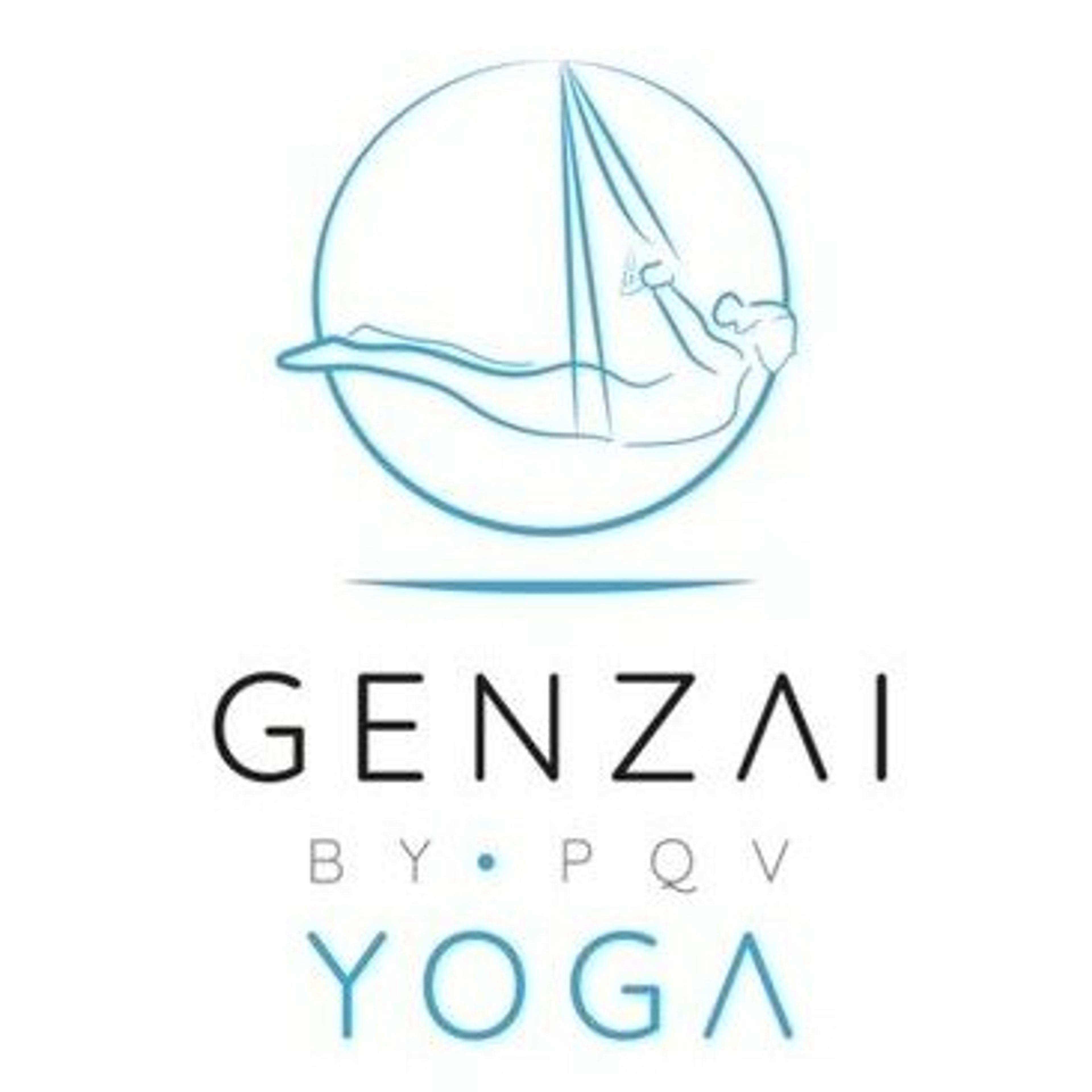 PQV20
