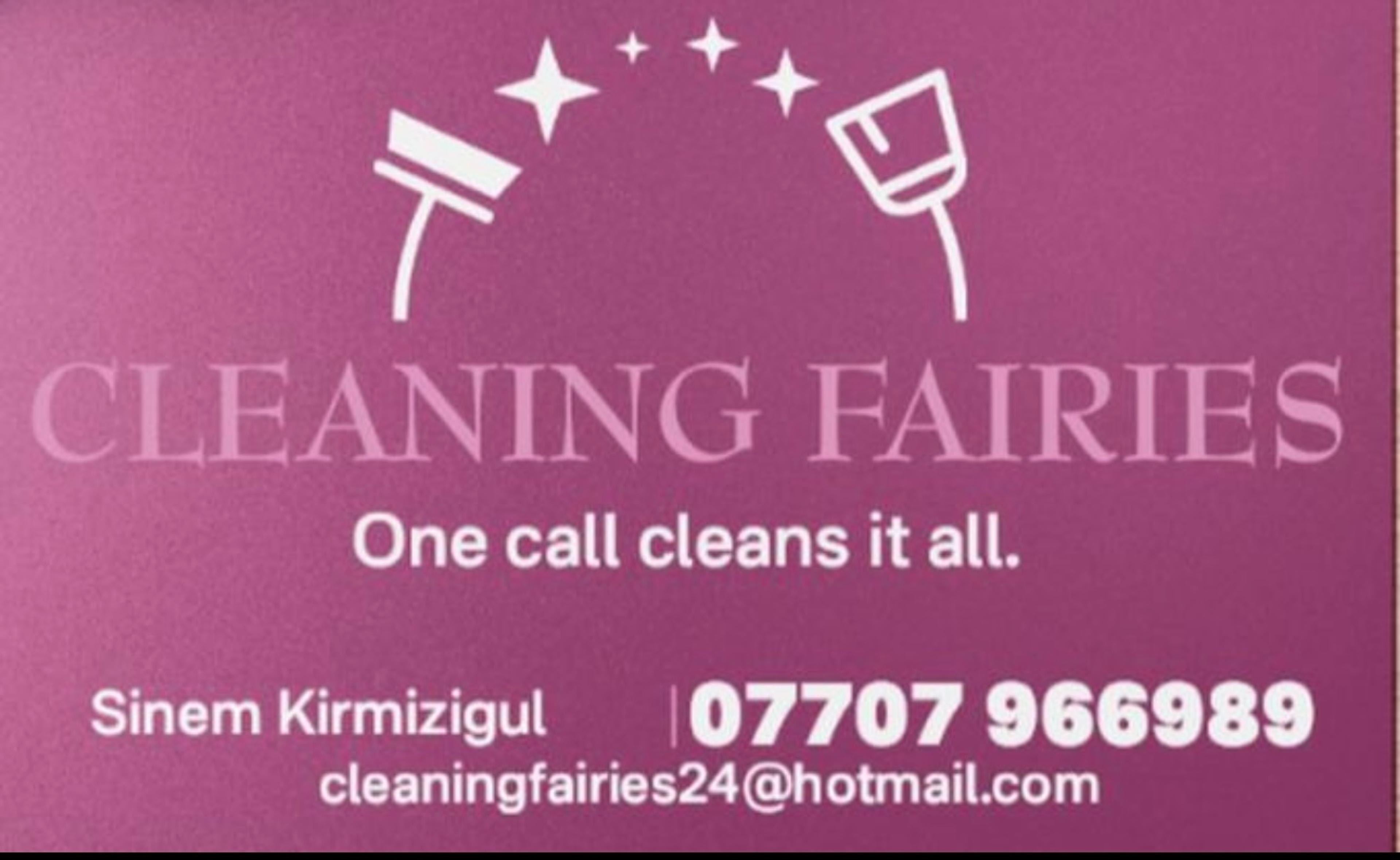 Cleaning Fairies