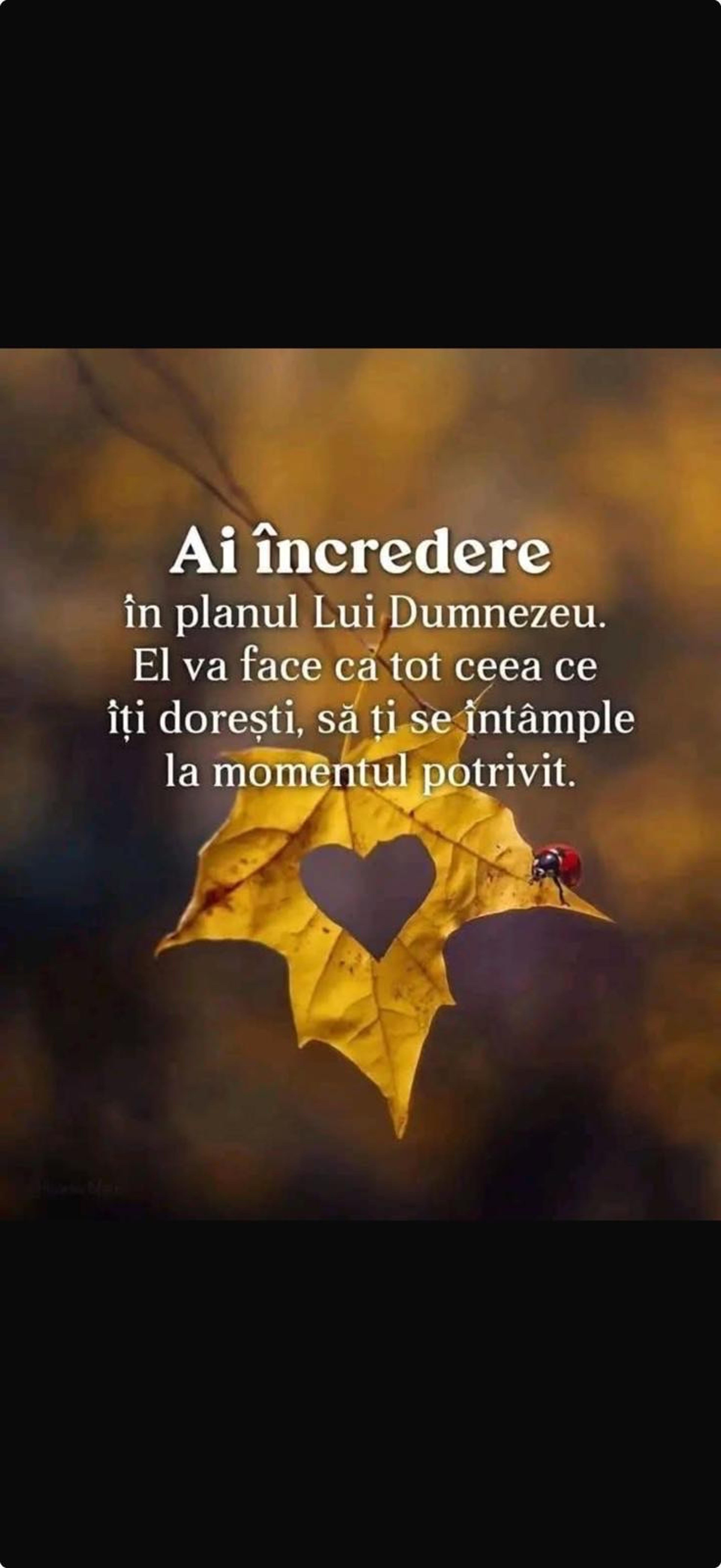 F&M Proaspăt și Curat