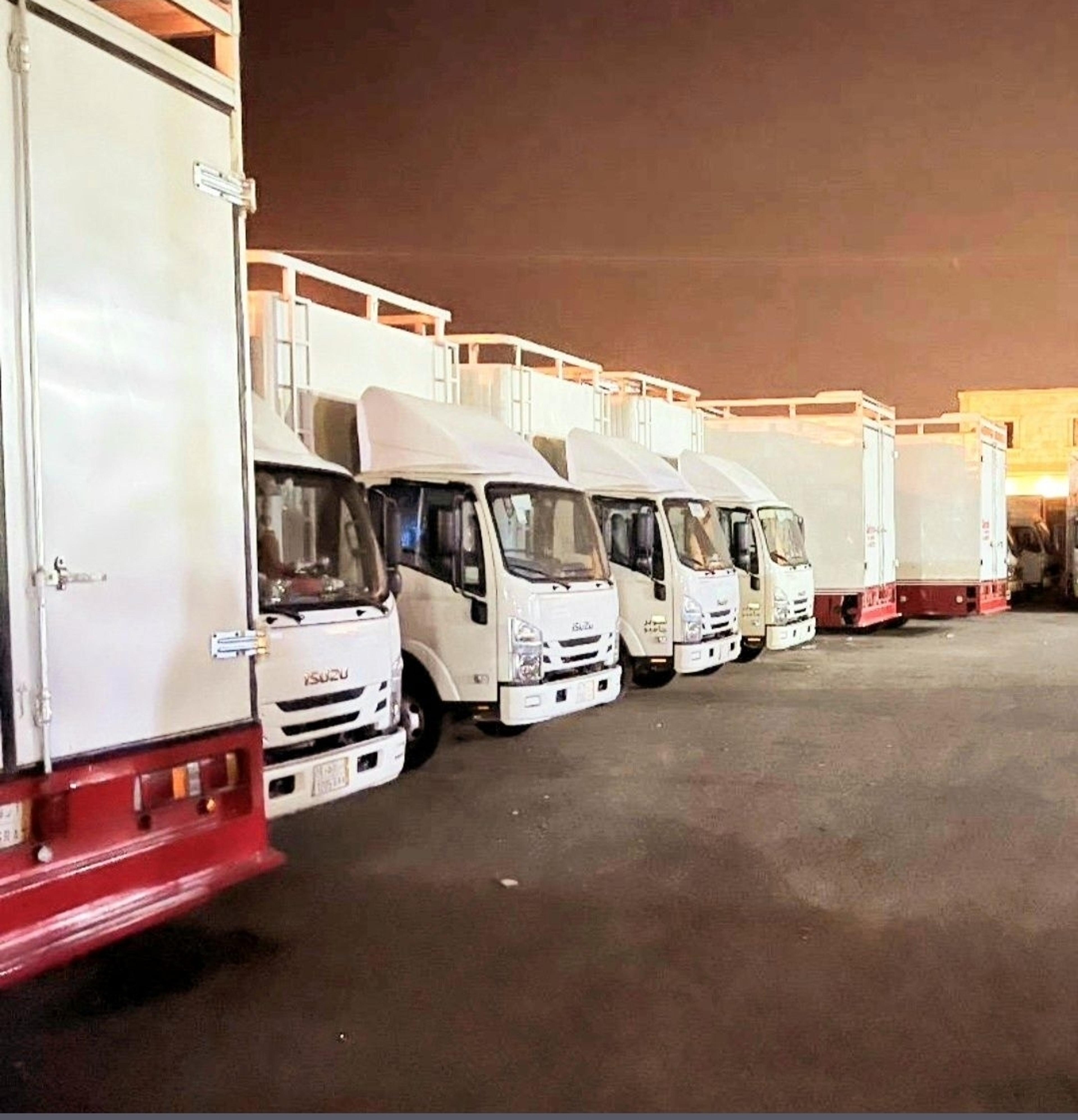 المتحدون